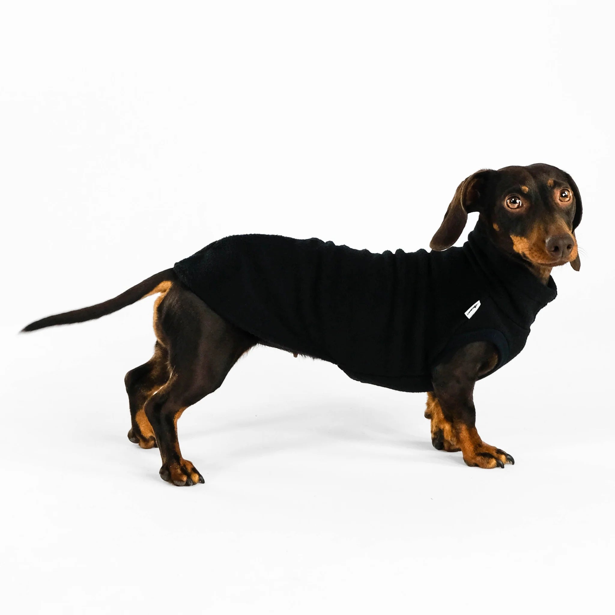 Karma-Hund-Dackel-Fleece-Longshirt-Schwarz