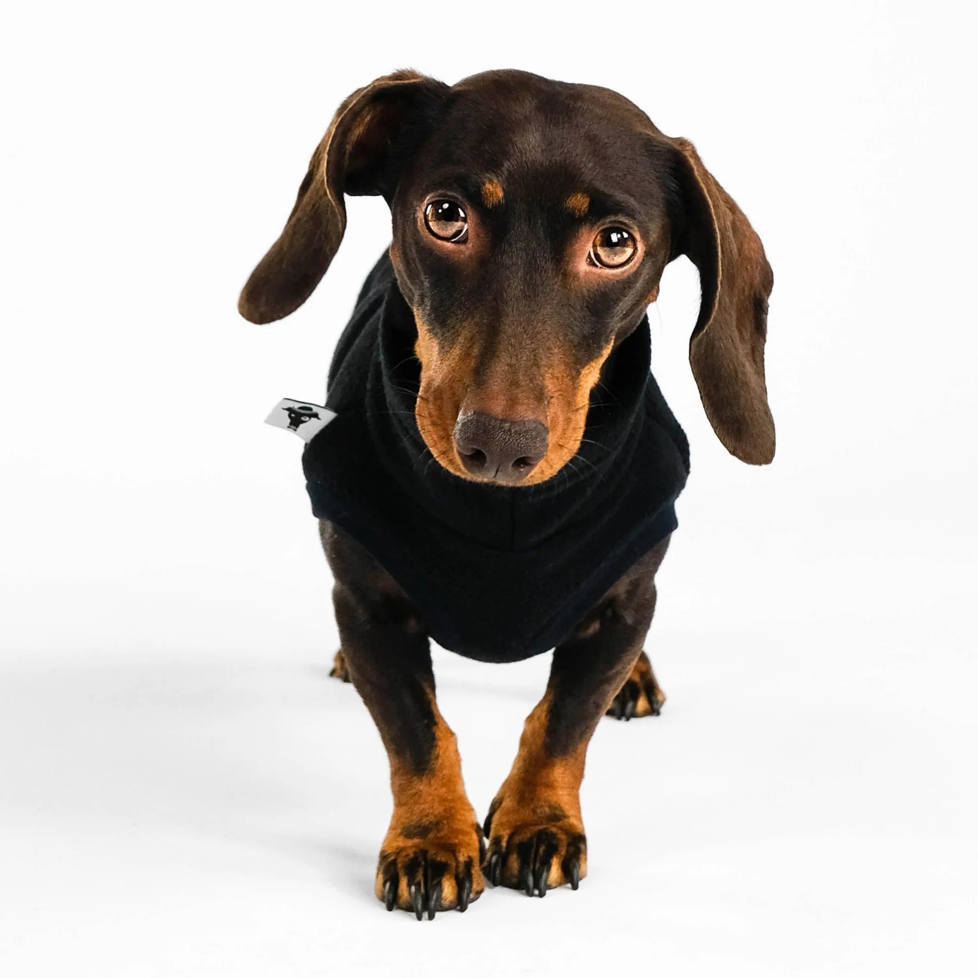 Karma-Hund-Dackel-Fleece-Longshirt-Schwarz2