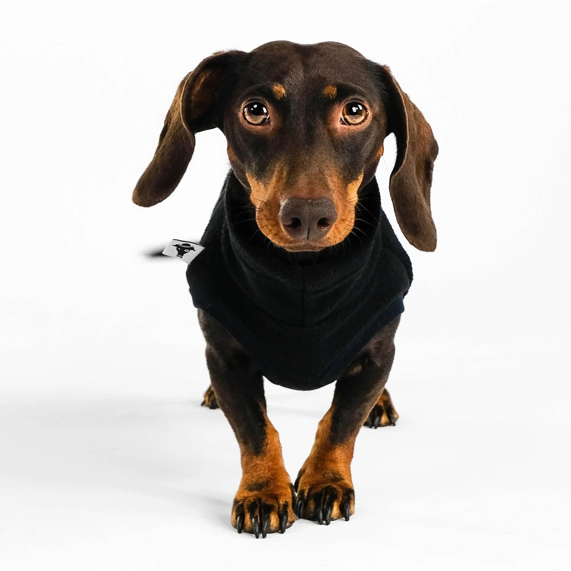 Karma-Hund-Dackel-Fleece-Longshirt-Schwarz3