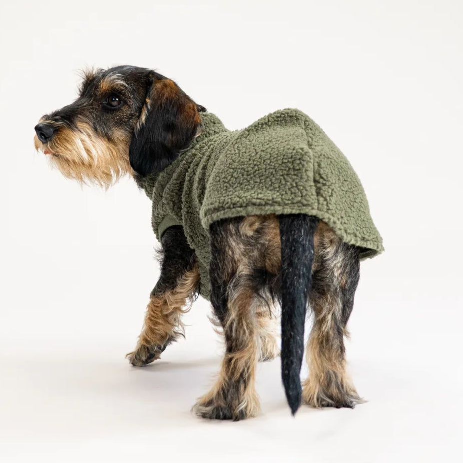 Karma-Hund-Dackel-Teddy-Longshirt-Dark-Olive-hinten