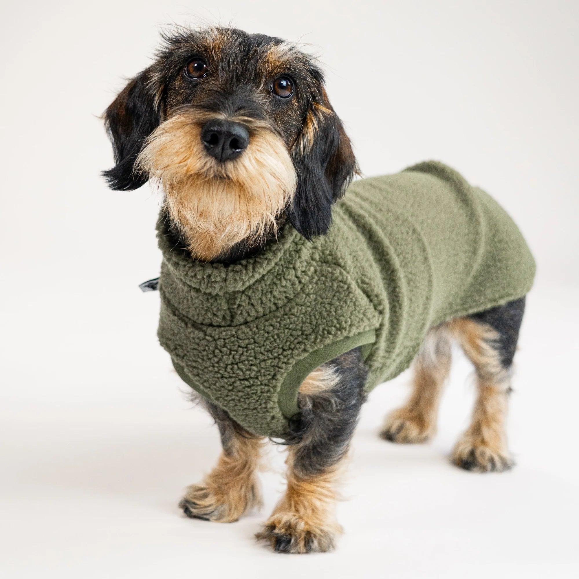 Karma-Hund-Dackel-Teddy-Longshirt-Dark-Olive