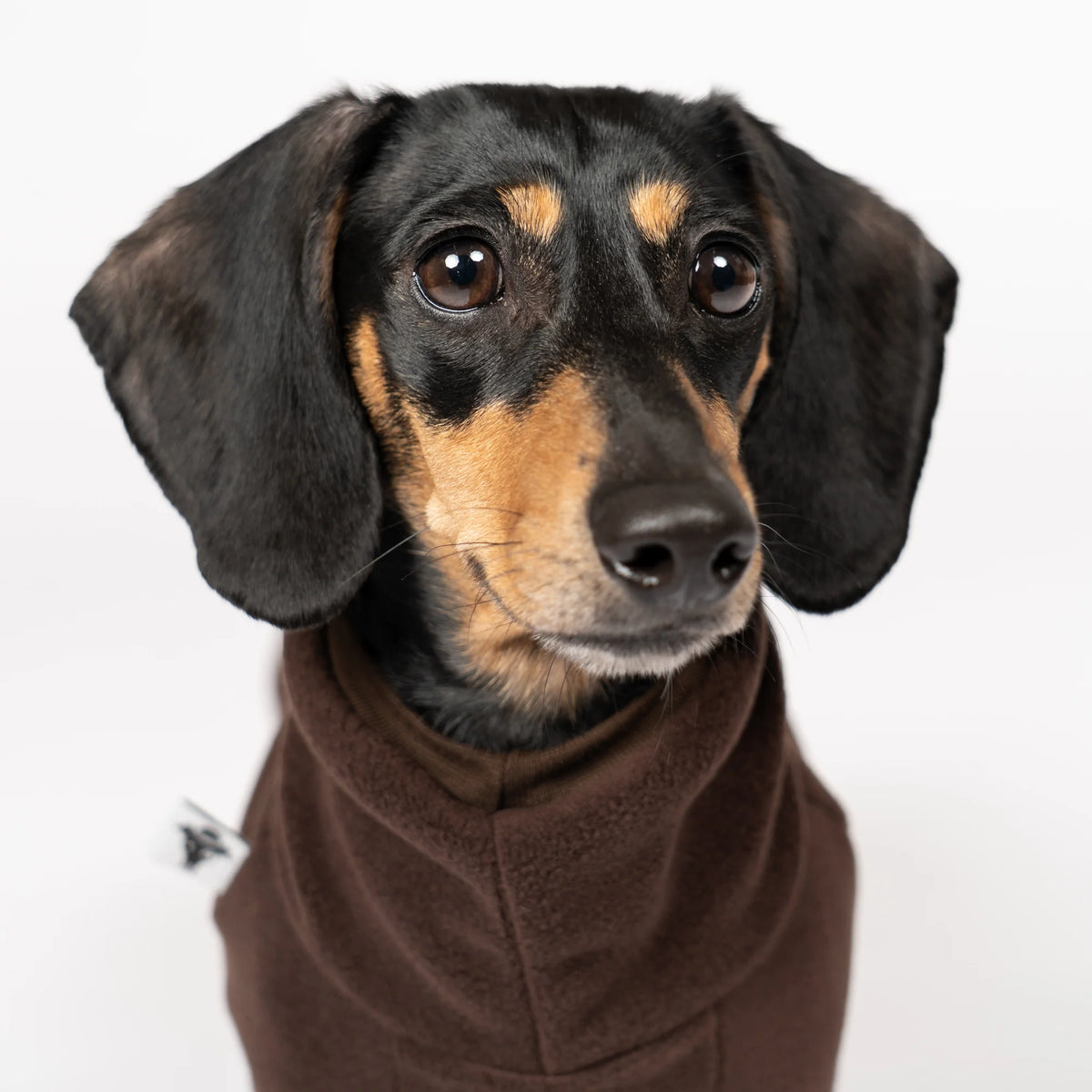 Karma-Hund-Fleece-Overall-Dackel-Dunkelbraun3