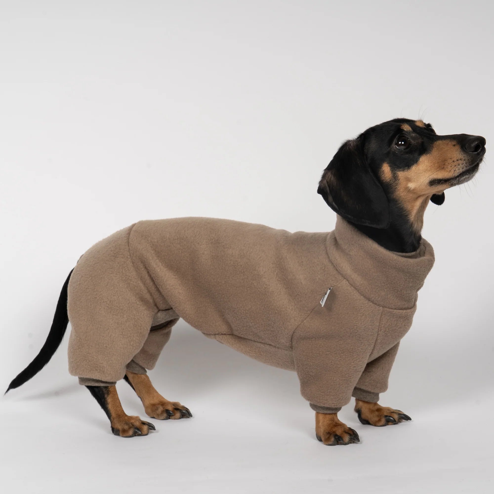 Karma-Hund-Fleece-Overall-Dackel-Taupe-2