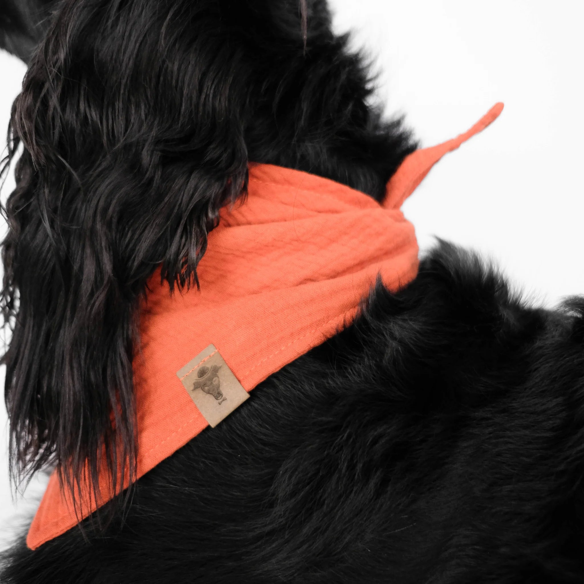 Karma-Hund-Hundehalstuch-Bandana-Brick-Red-Detail