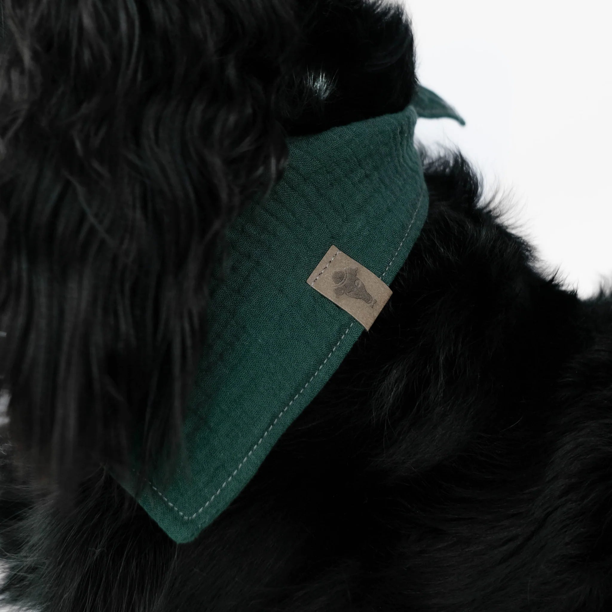 Karma-Hund-Hundehalstuch-Bandana-Forest-Green-Hund4