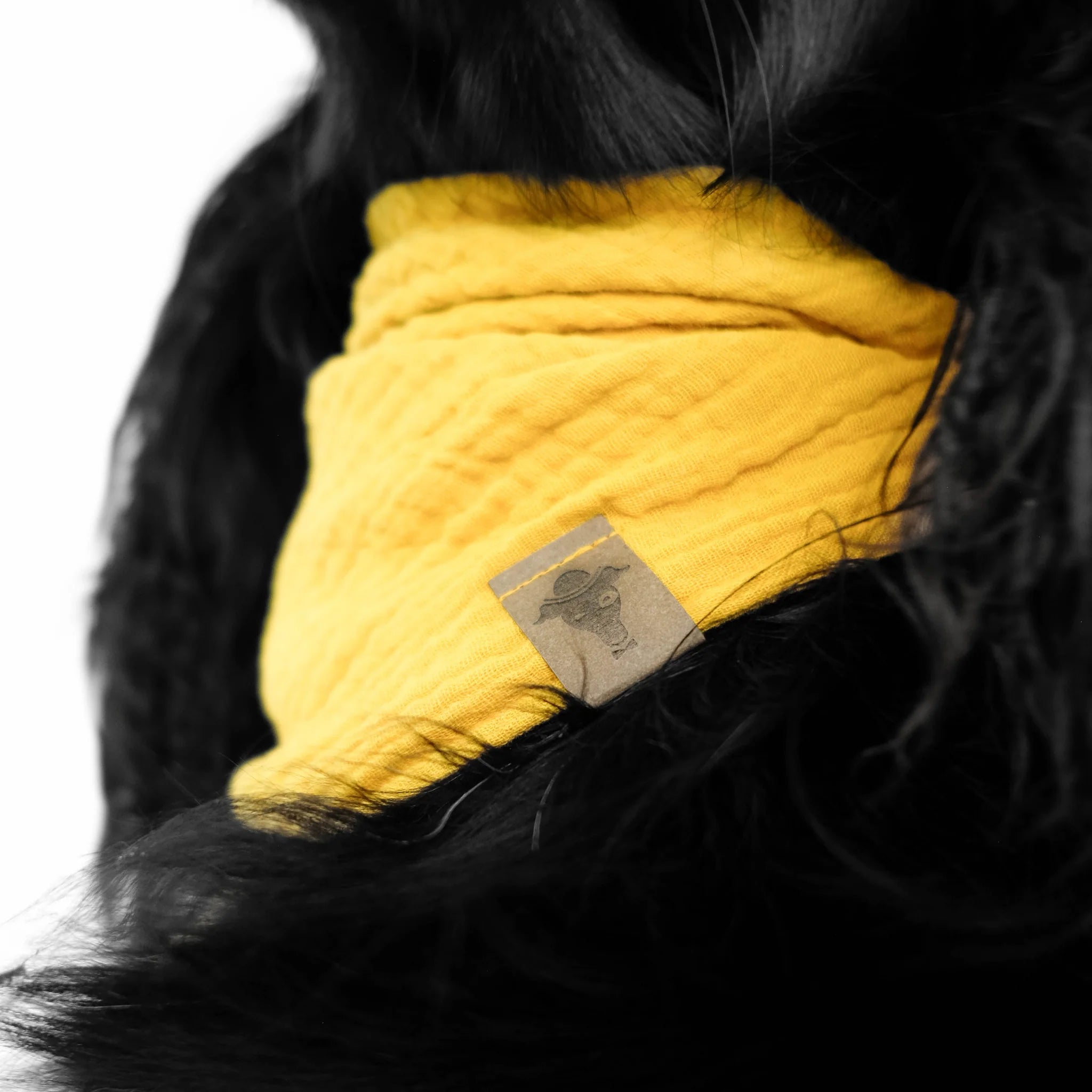 Karma-Hund-Hundehalstuch-Bandana-Sunny-Yellow-Hund1