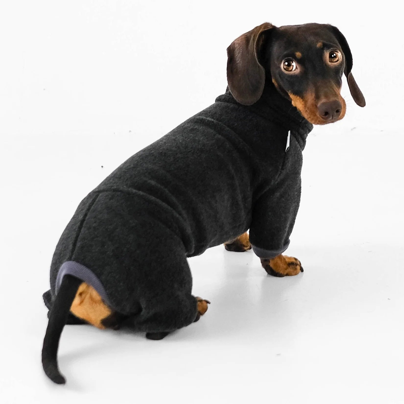 Karma-Hund-Hundepullover-Polar-Fleece-Overall-Dackel-Anthrazit-Rücken