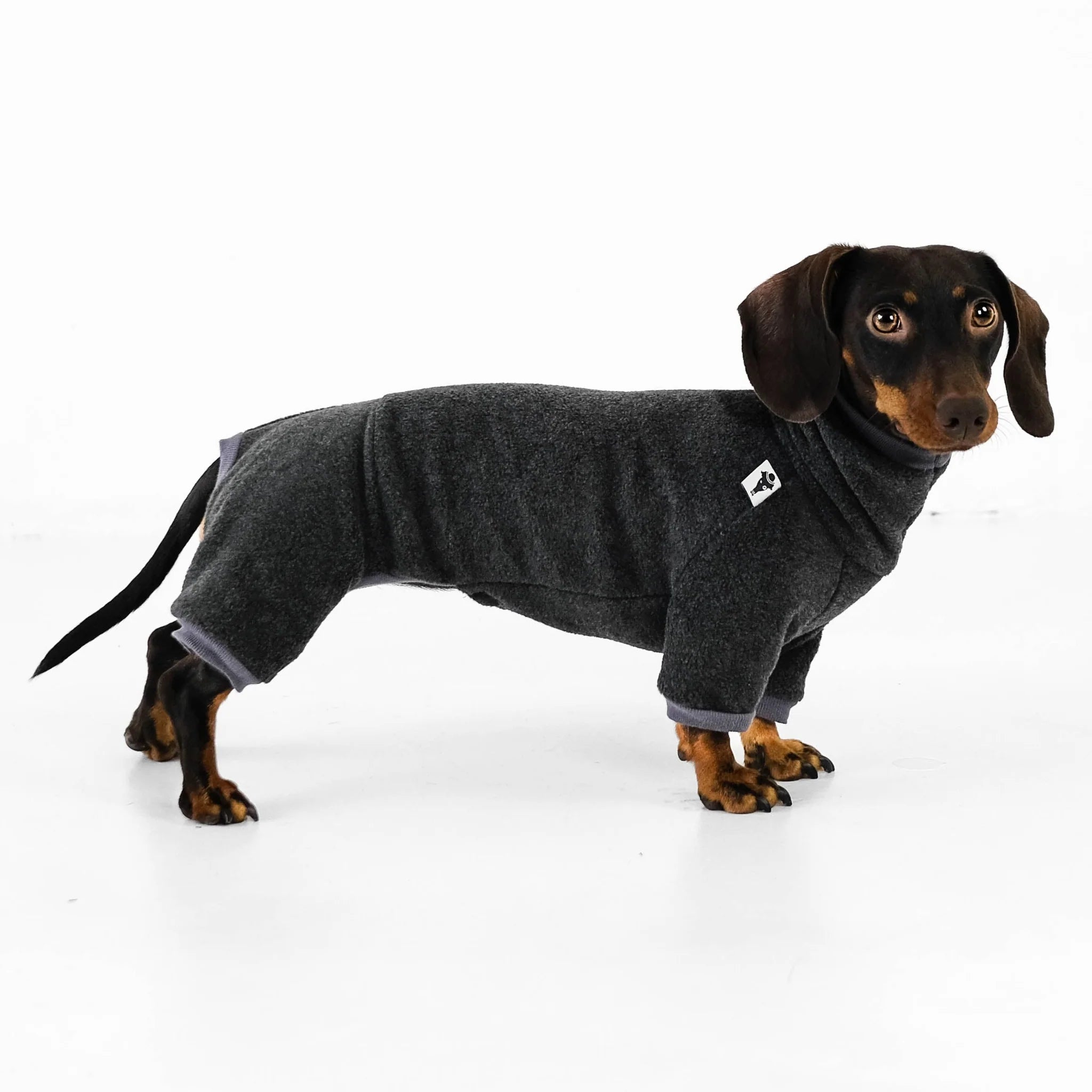 Karma-Hund-Hundepullover-Polar-Fleece-Overall-Dackel-Anthrazit