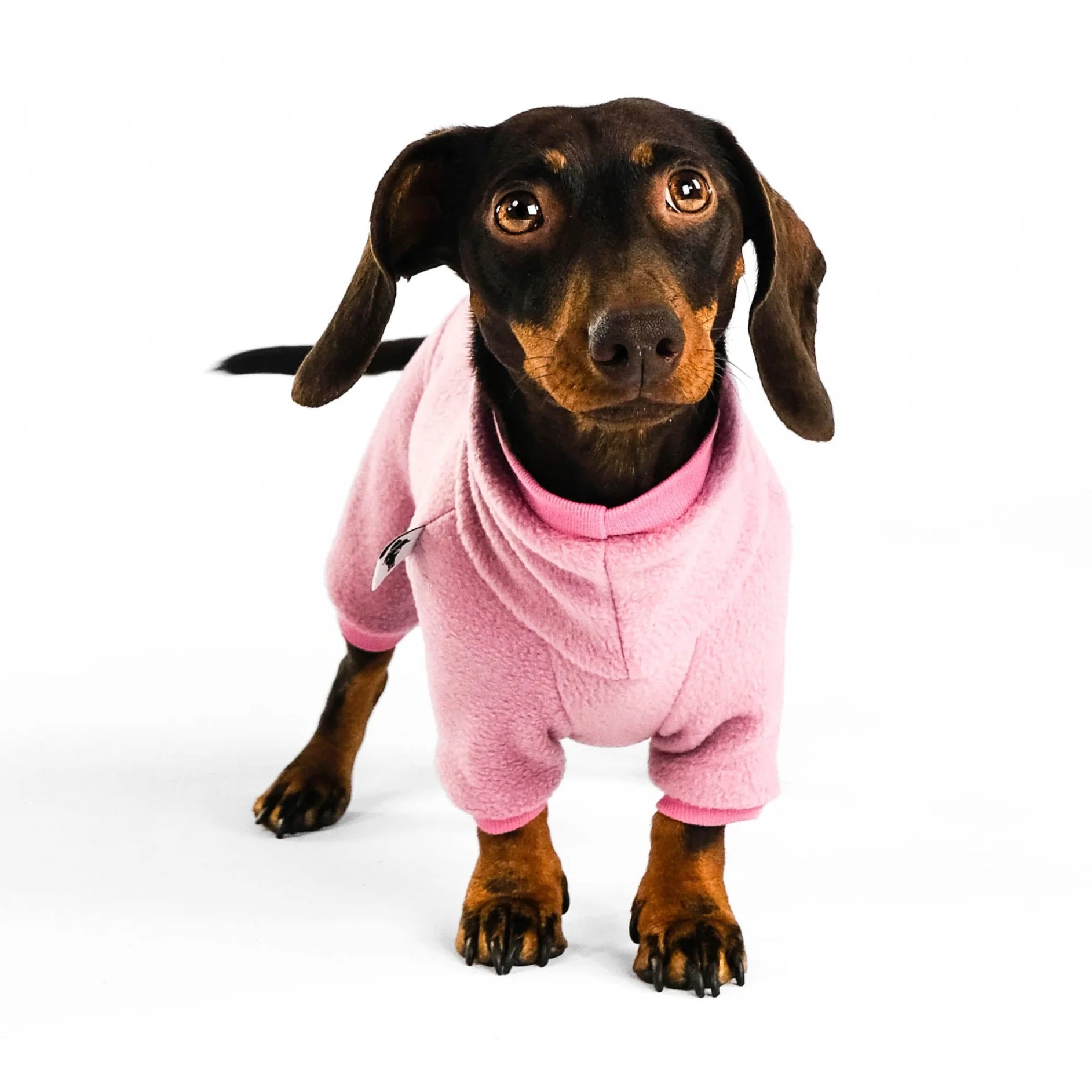 Karma-Hund-Hundepullover-Polar-Fleece-Overall-Dackel-Mulberry2