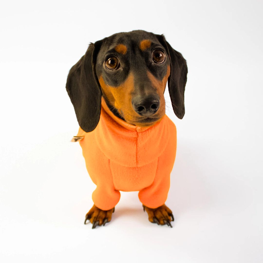 Karma-Hund-Hundepullover-Polar-Fleece-Overall-Dackel-Orange-Frontal