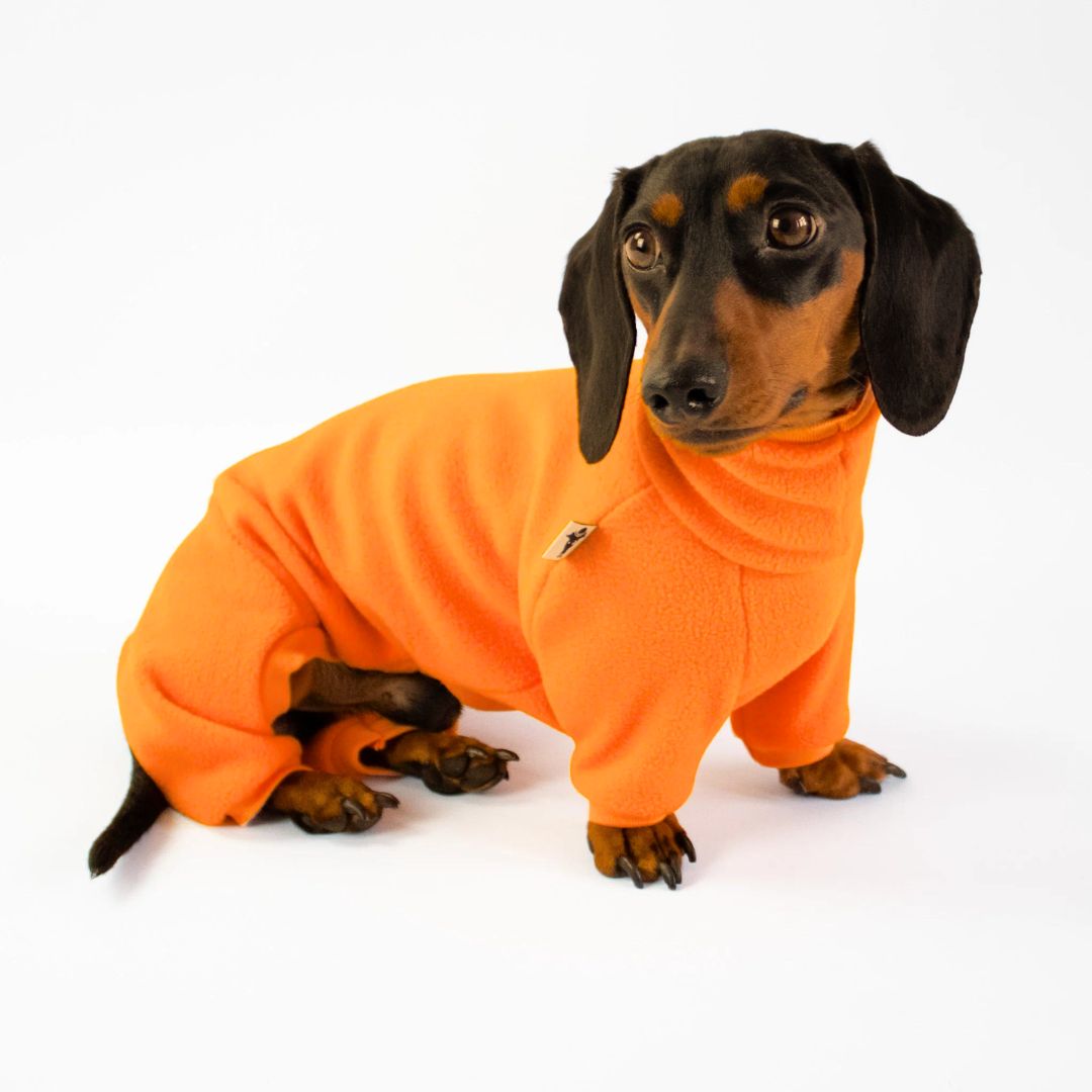 Karma-Hund-Hundepullover-Polar-Fleece-Overall-Dackel-Orange