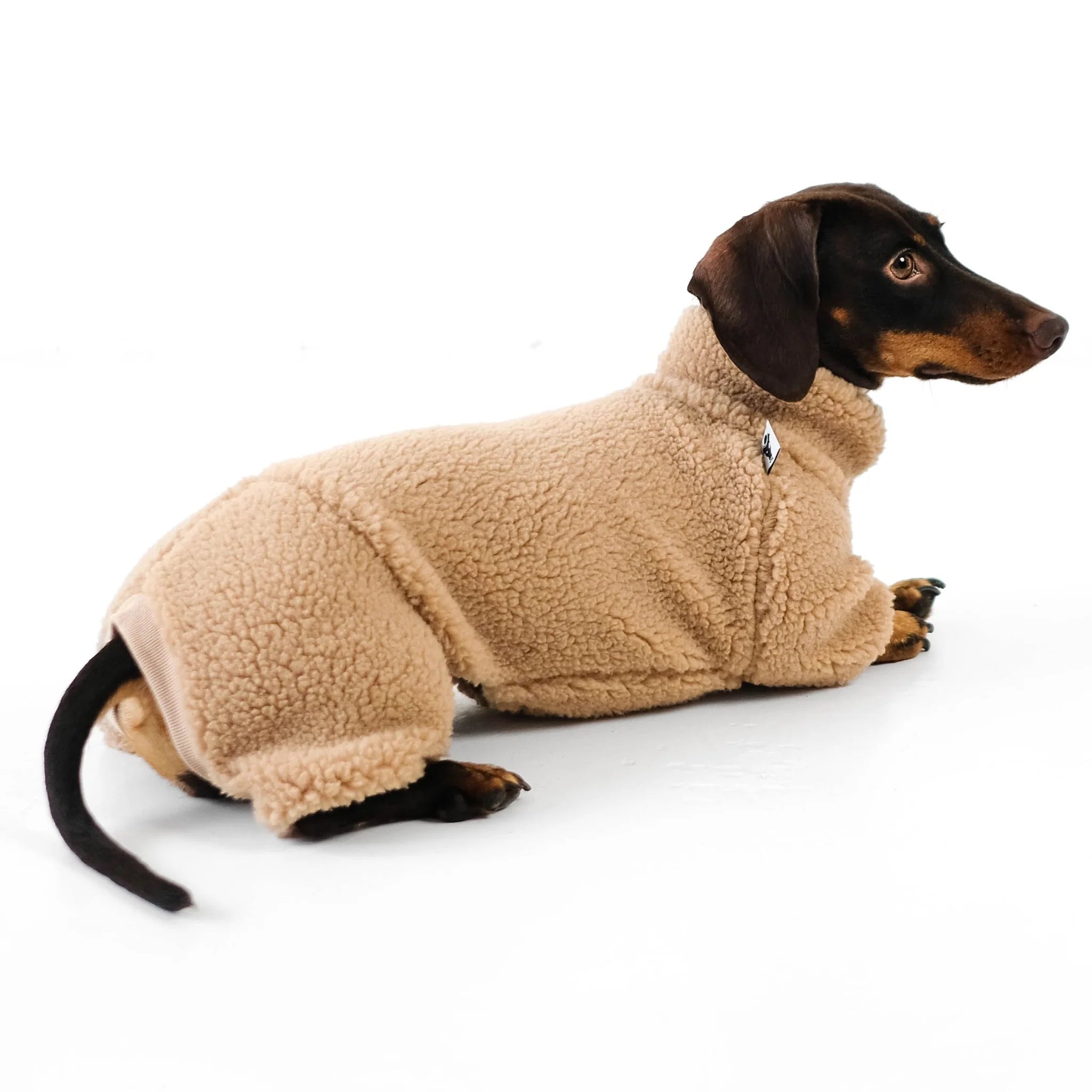 Karma-Hund-Hundepullover-Teddy-Overall-Dackel-Dark-Beige-liegend