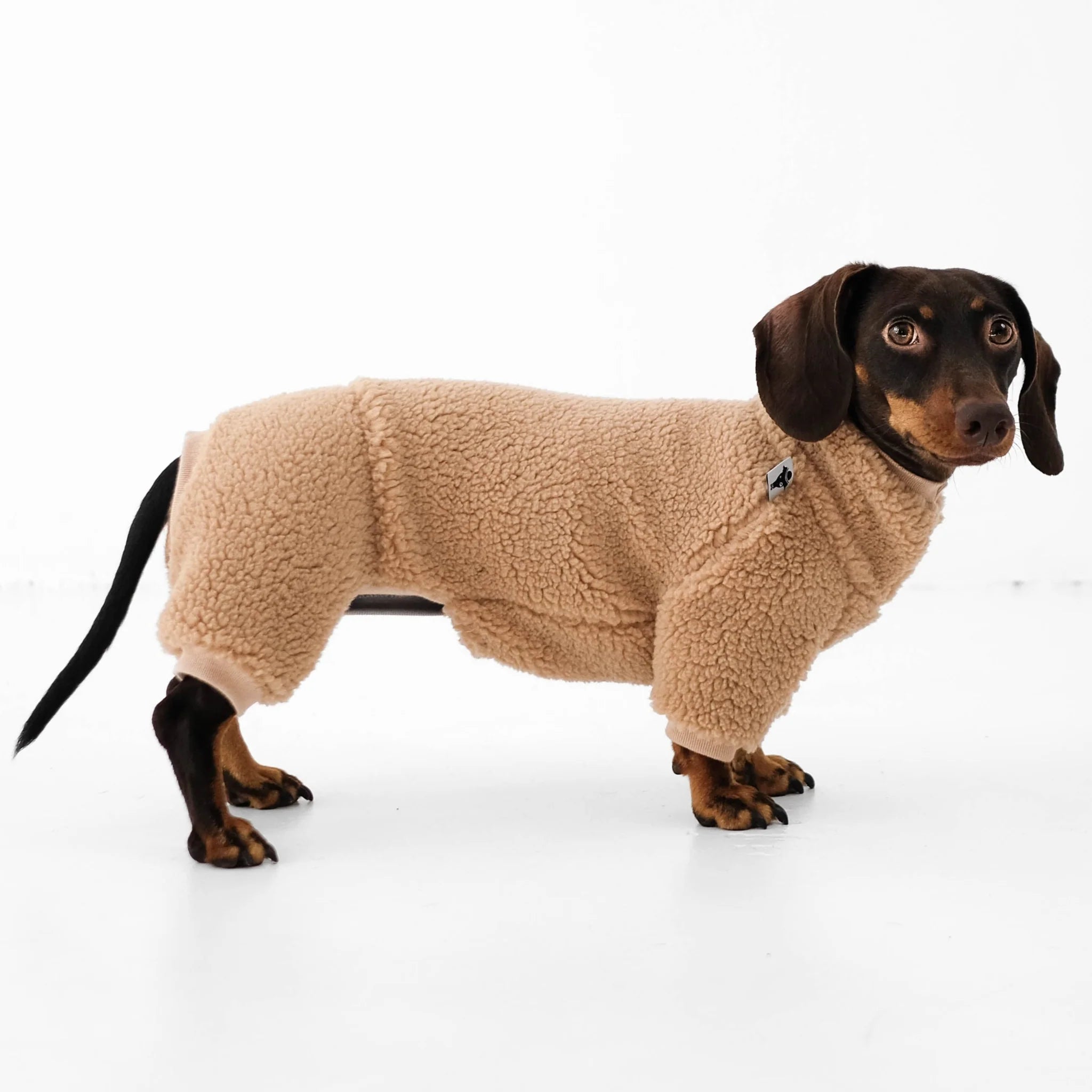 Karma-Hund-Hundepullover-Teddy-Overall-Dackel-Dark-Beige