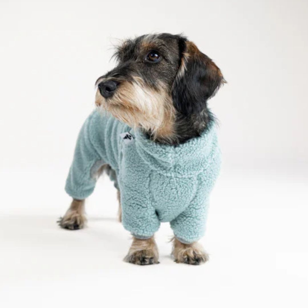 Karma-Hund-Hundepullover-Teddy-Overall-Dackel-Mint-2