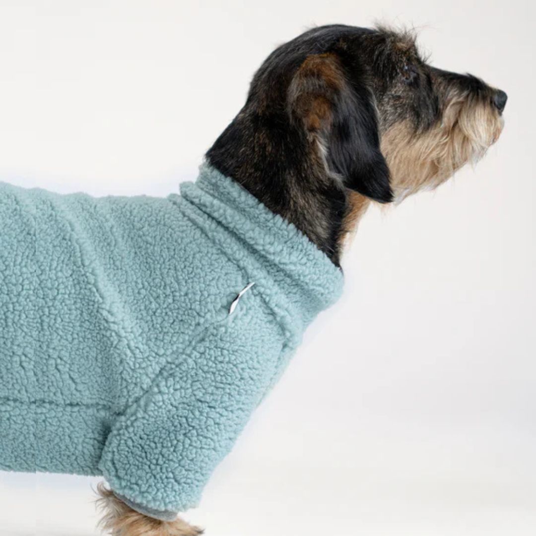Karma-Hund-Hundepullover-Teddy-Overall-Dackel-Mint-3