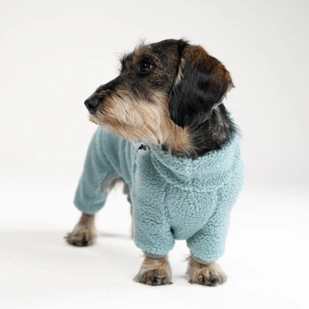 Karma-Hund-Hundepullover-Teddy-Overall-Dackel-Mint-4