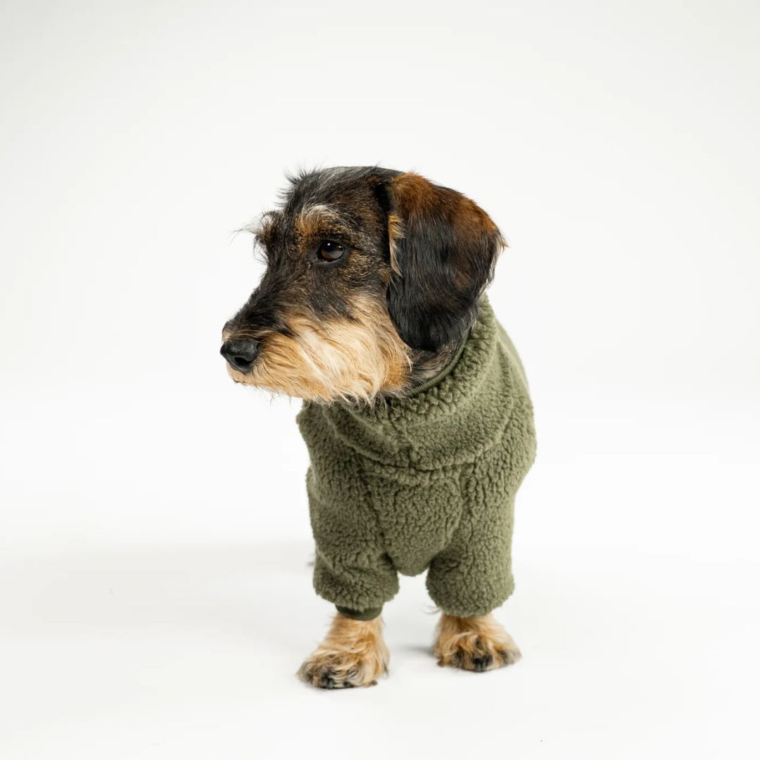 Karma-Hund-Hundepullover-Teddy-Overall-Dackel-Olive-2