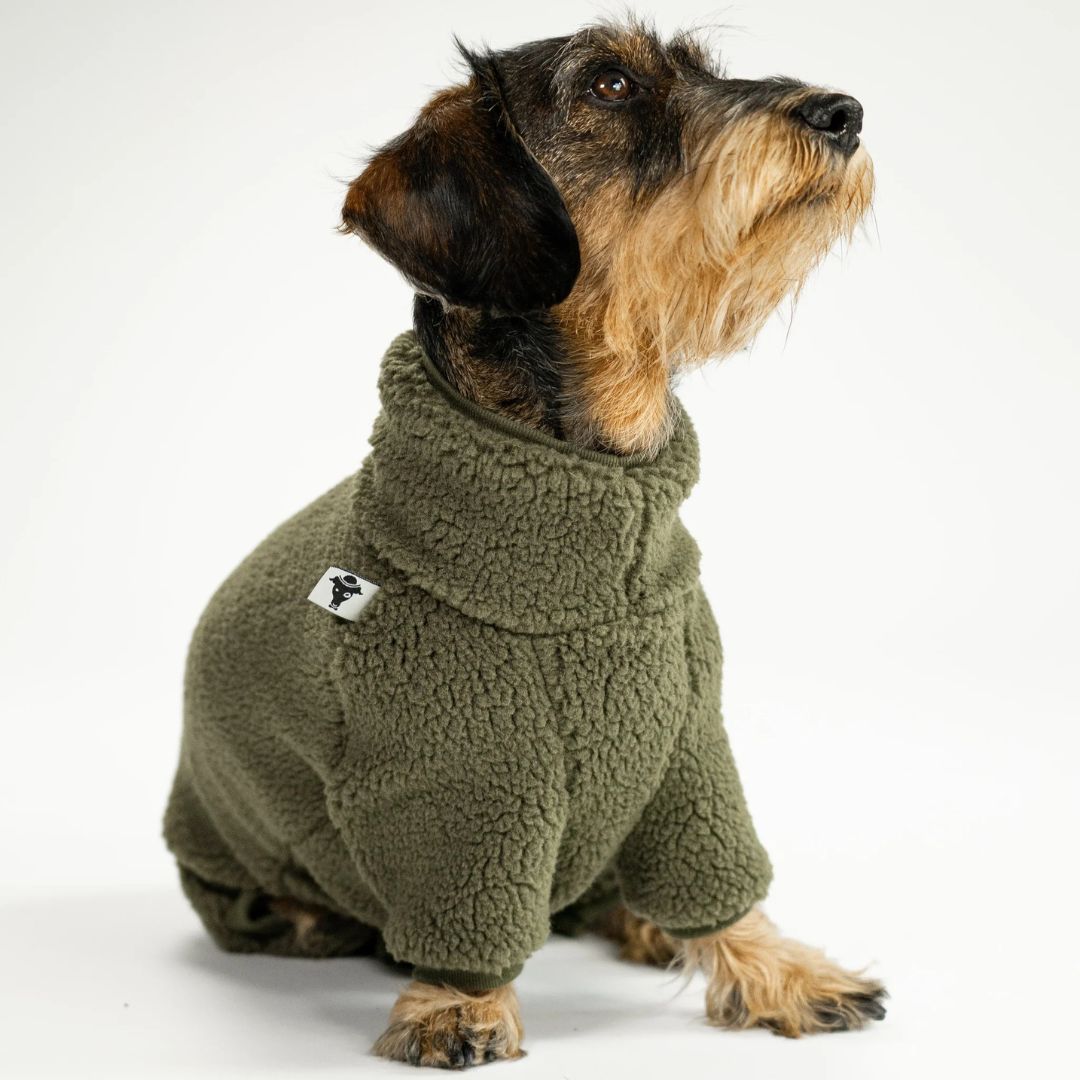 Karma-Hund-Hundepullover-Teddy-Overall-Dackel-Olive-3