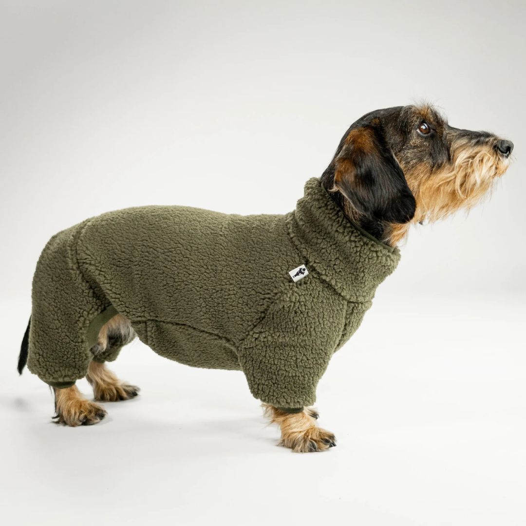 Karma-Hund-Hundepullover-Teddy-Overall-Dackel-Olive