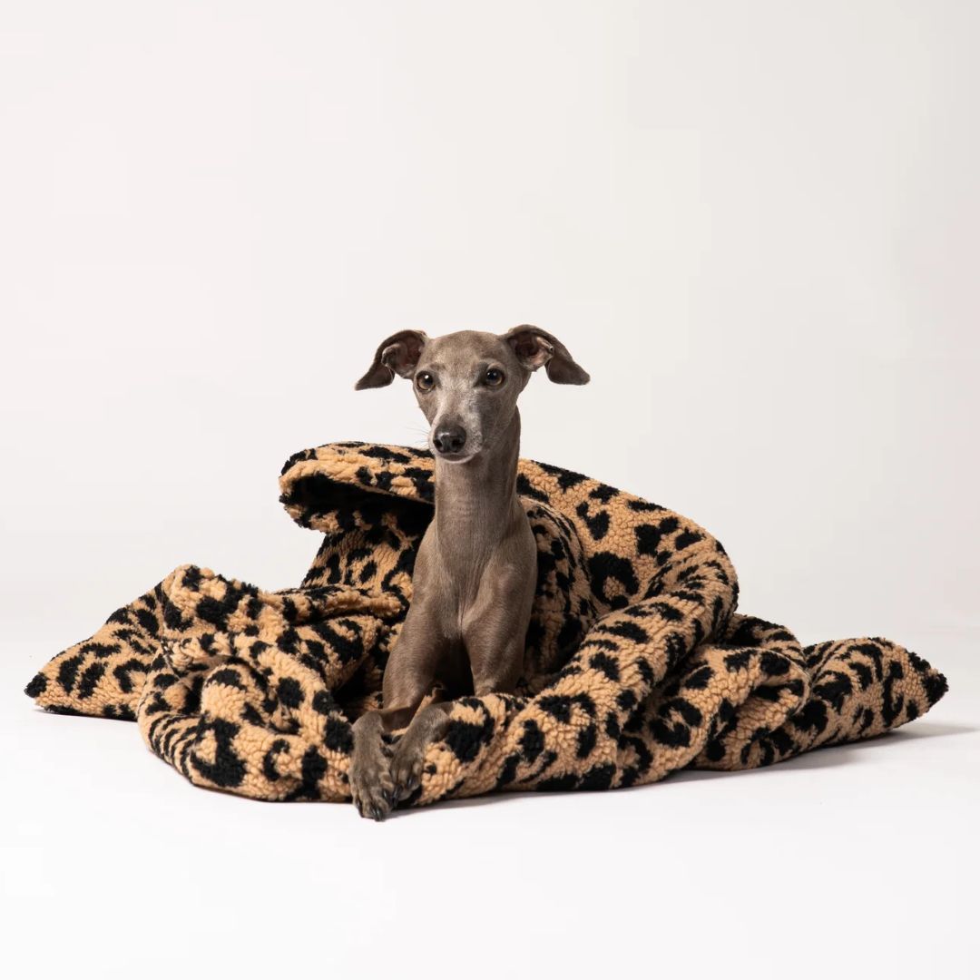 Karma-Hund-Hundeschlafsack-Leo-2