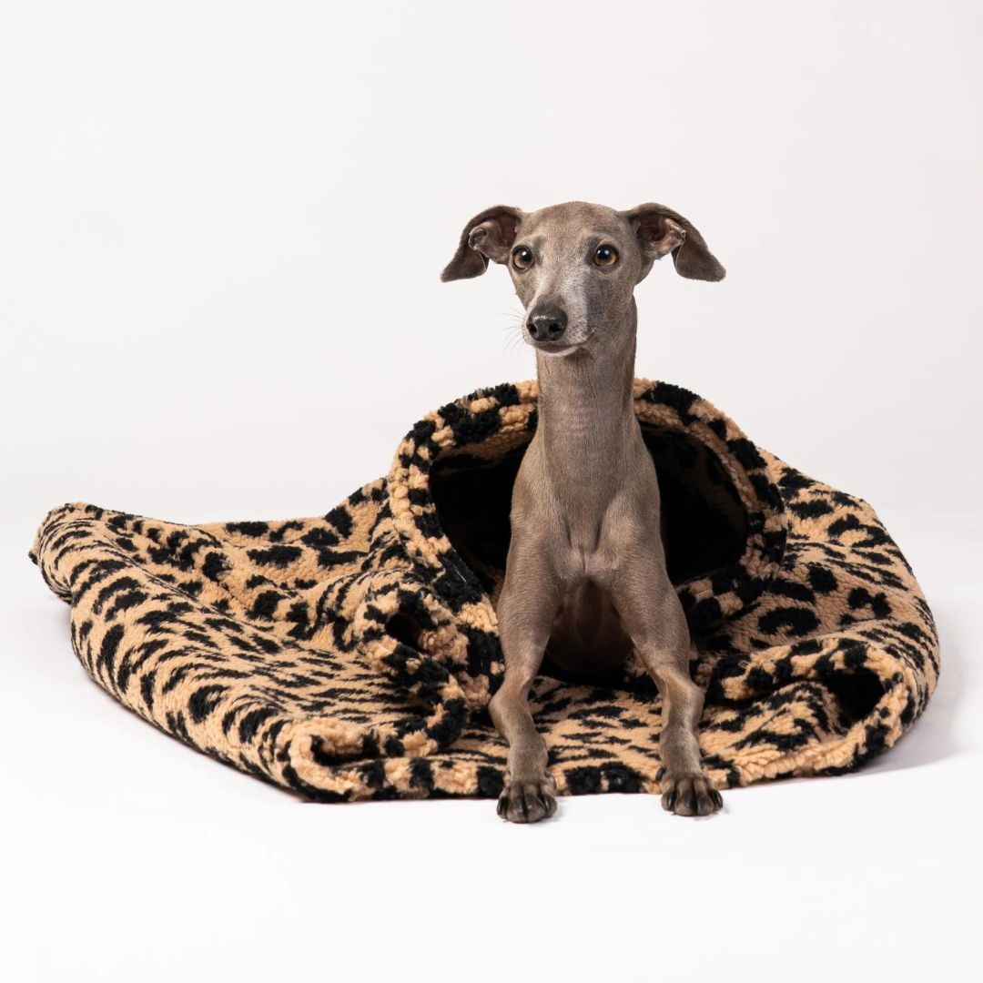 Karma-Hund-Hundeschlafsack-Leo