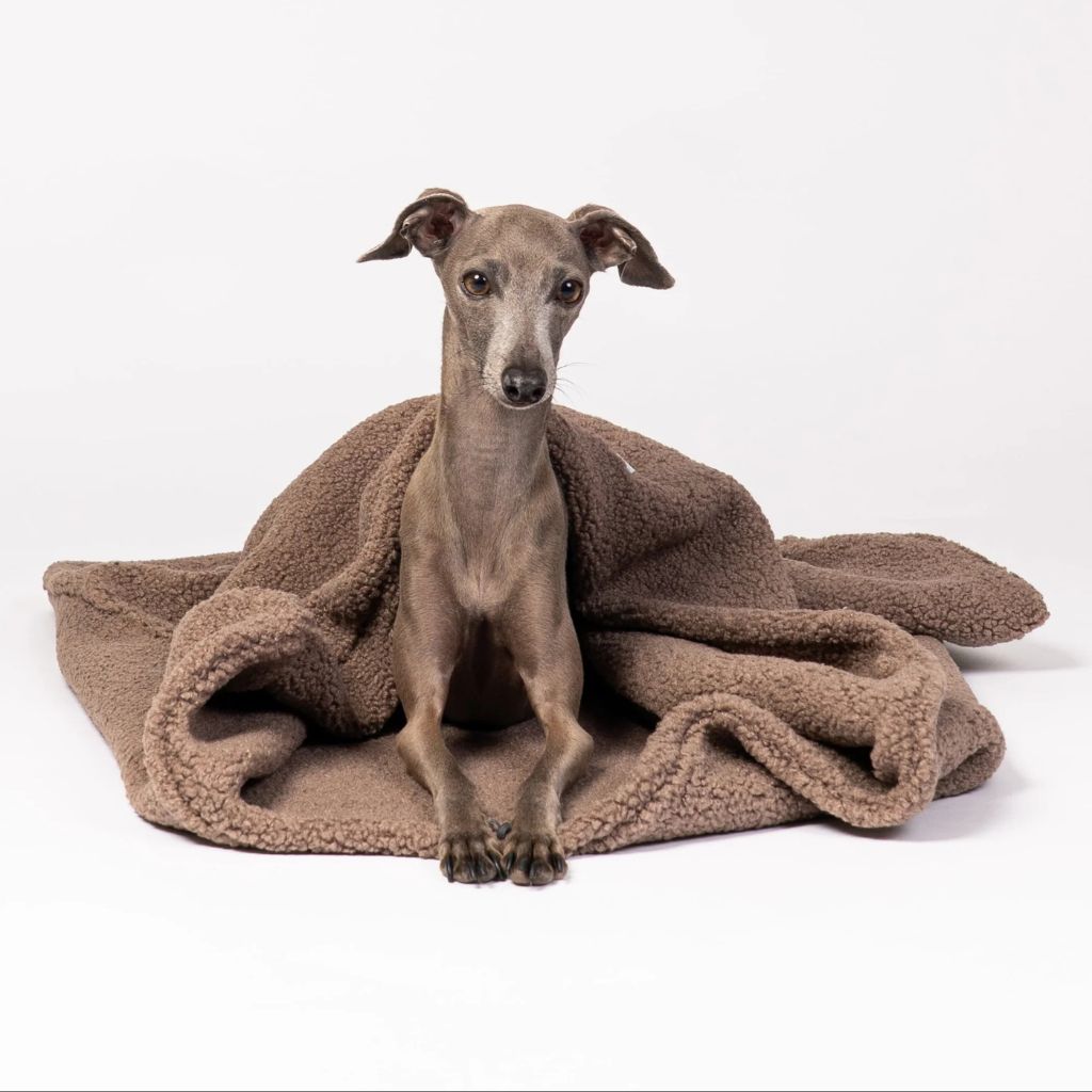 Karma-Hund-Hundeschlafsack-Mokka