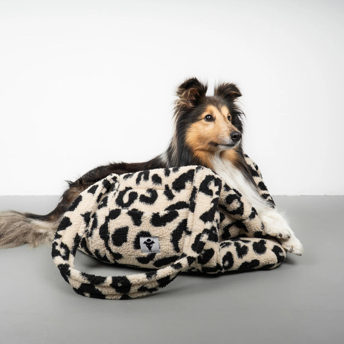 Karma-Hund-Hundetasche-Teddy-Leo-Schwarz-Hund2