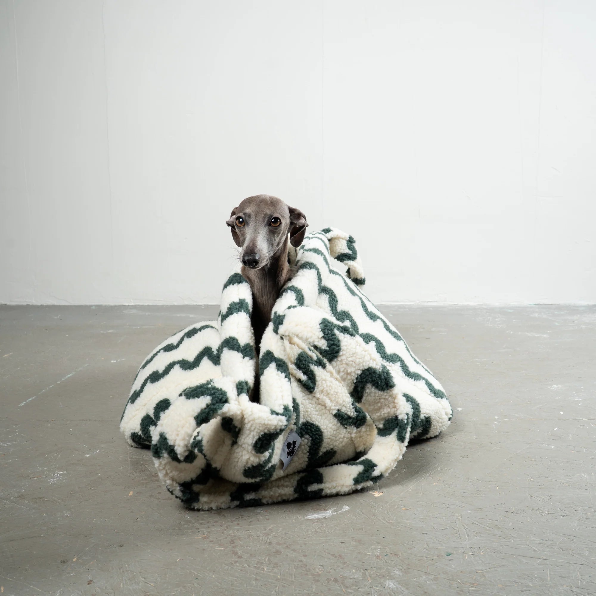 Karma-Hund-Hundetragetasche-Teddy-Shopper-Forest-Waves-4