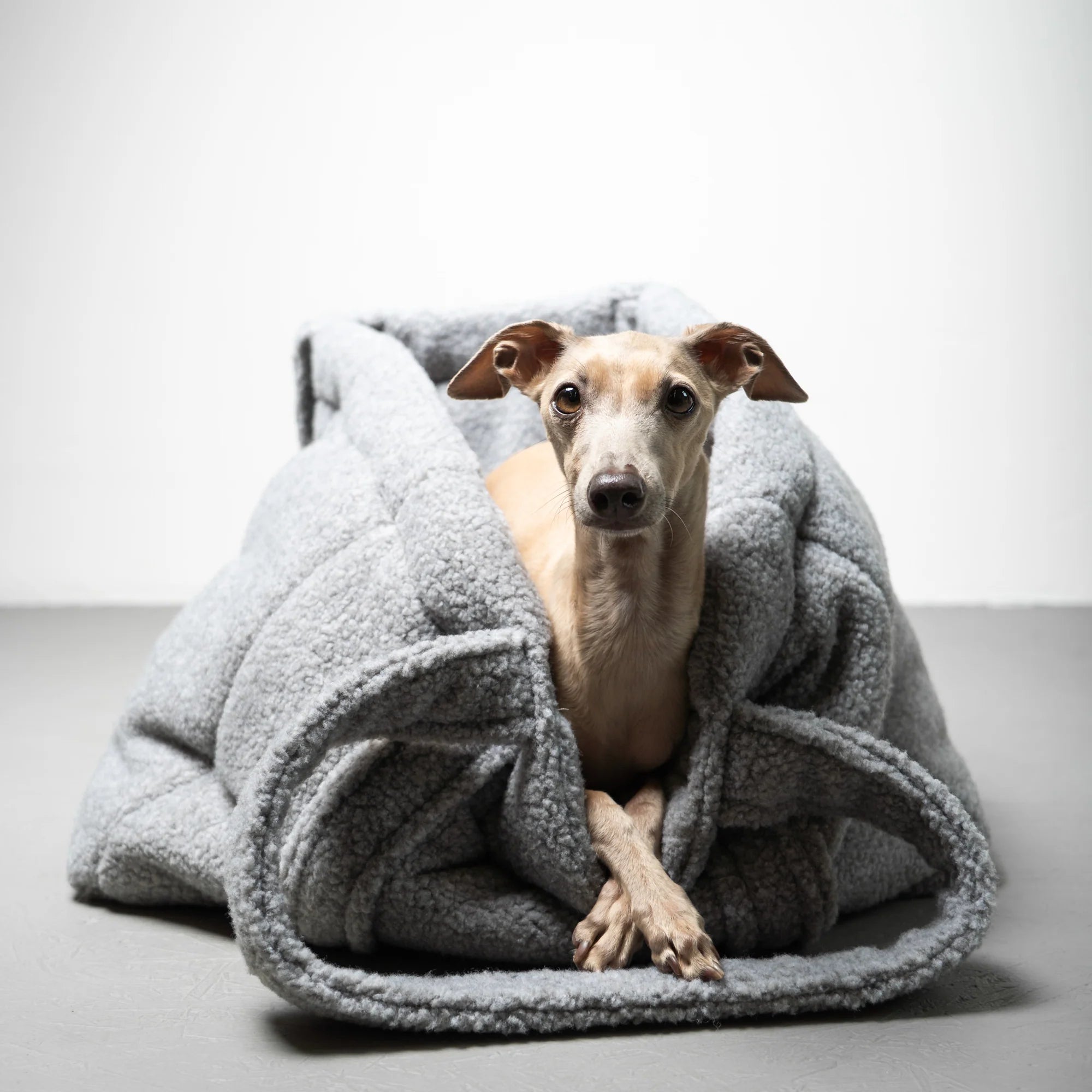 Karma-Hund-Hundetragetasche-Teddy-Shopper-Grey-Iggy