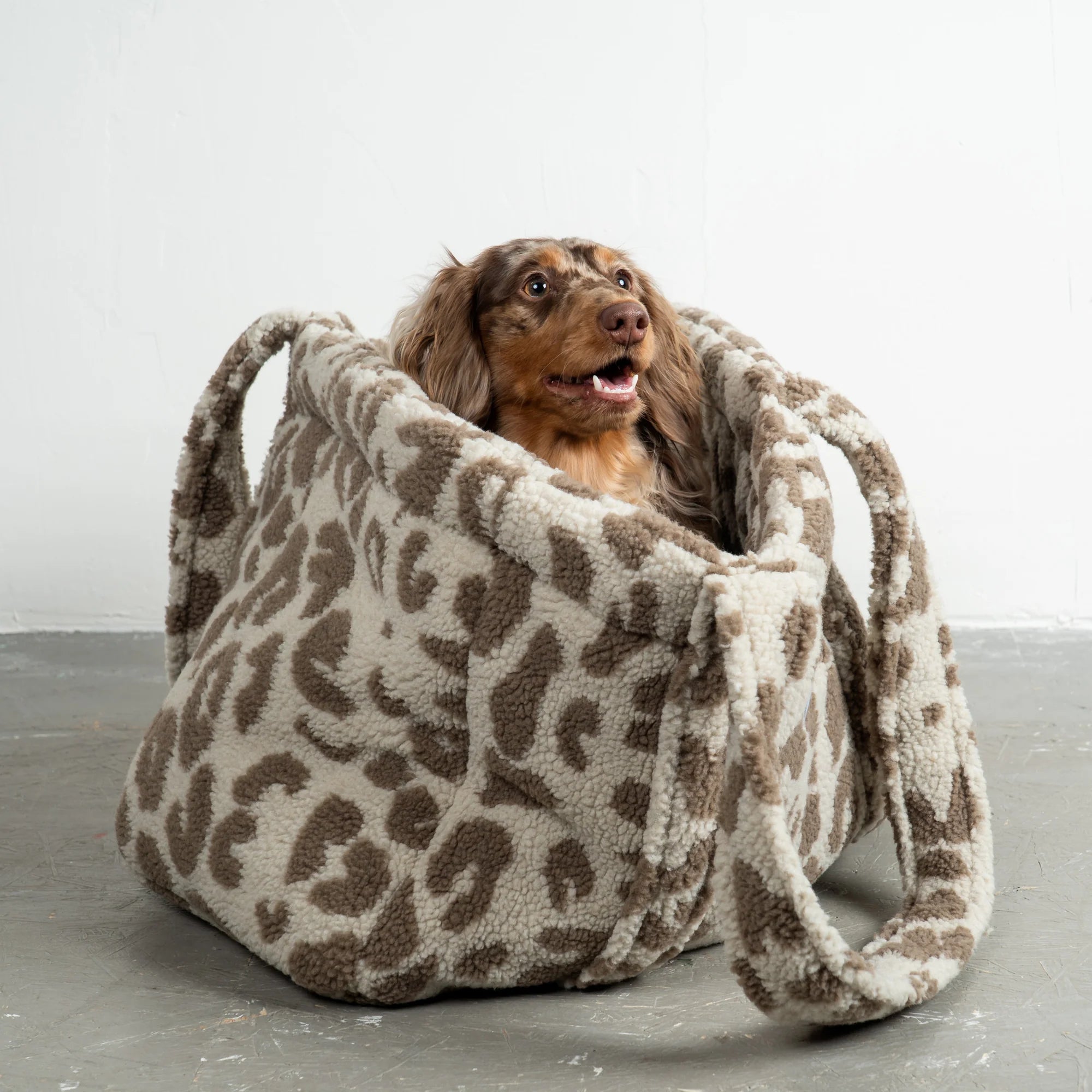 Karma-Hund-Hundetragetasche-Teddy-Shopper-Leo-Light-2