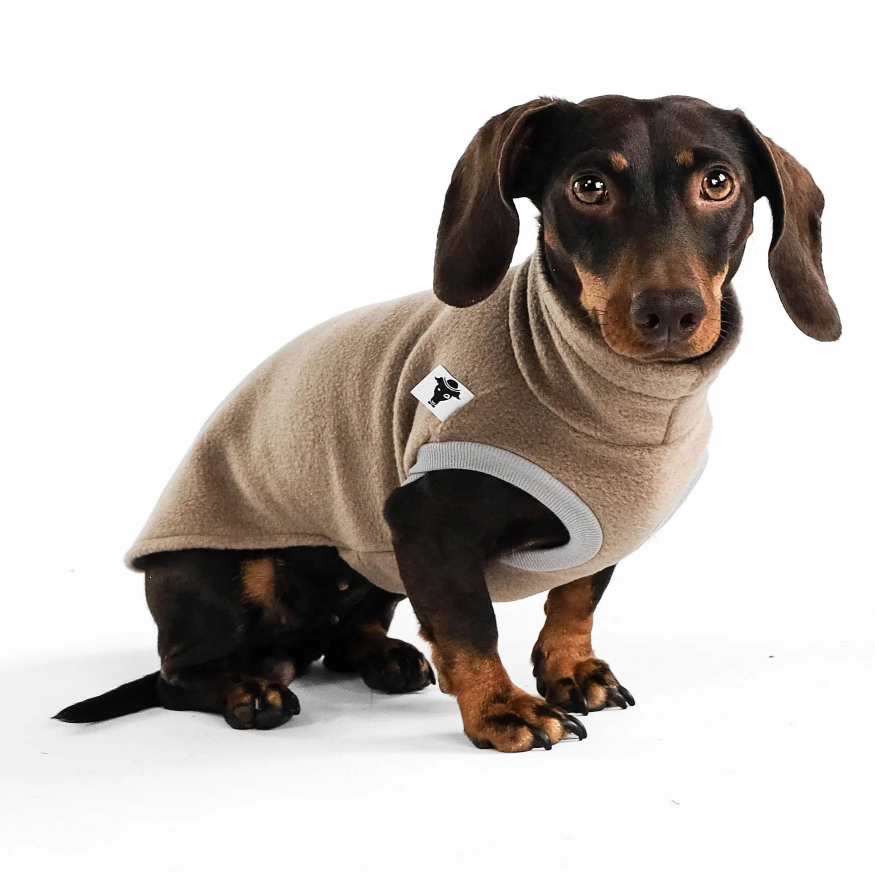 Karma-Hund-Long-Shirt-2.0-Dackel-Walnut-3