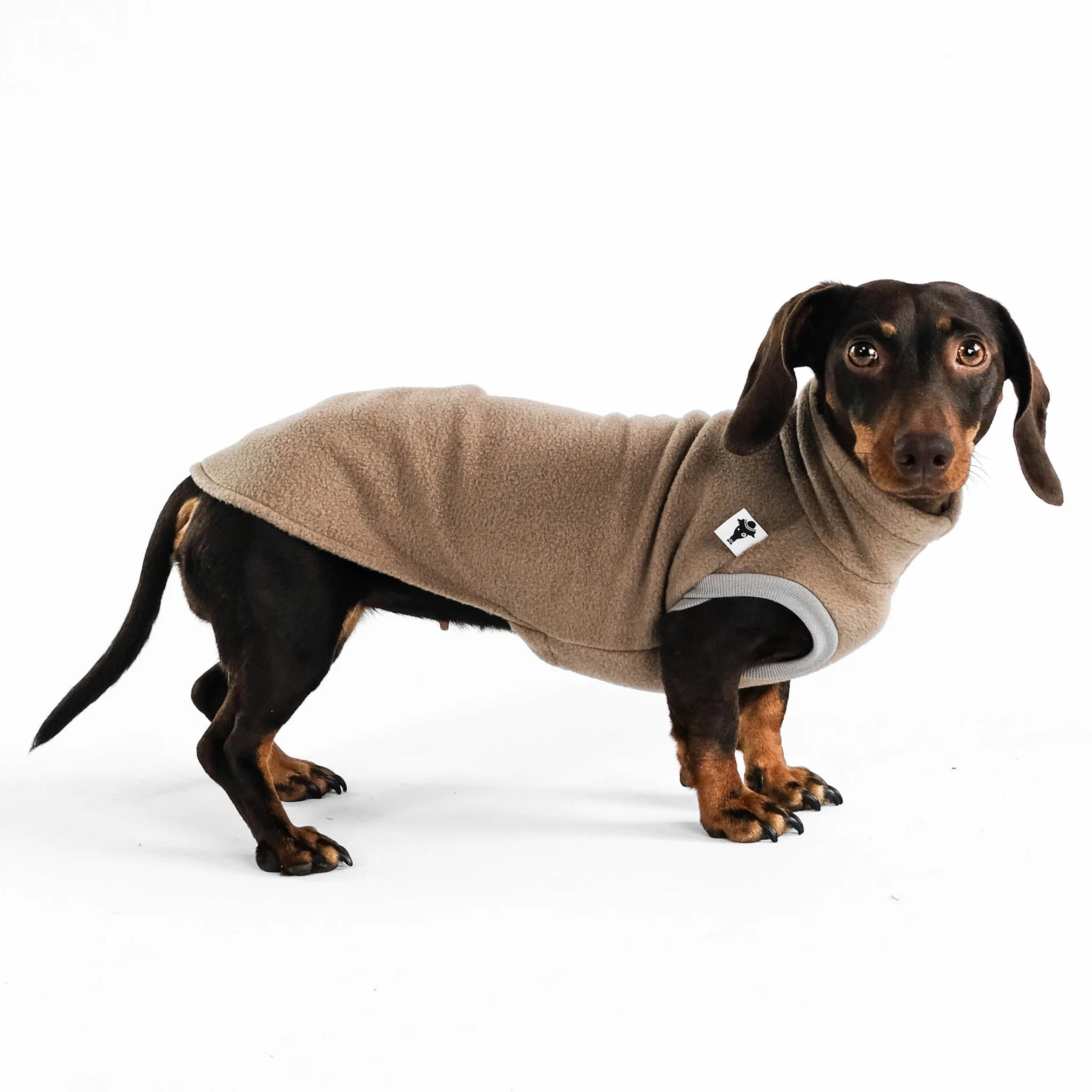 Karma-Hund-Long-Shirt-2.0-Dackel-Walnut