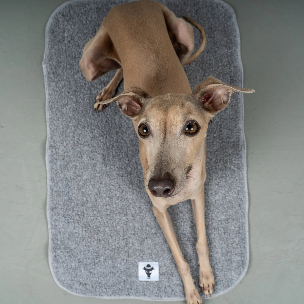Karma-Hund-Platzdecke-Hundedecke-Grey-Hund2