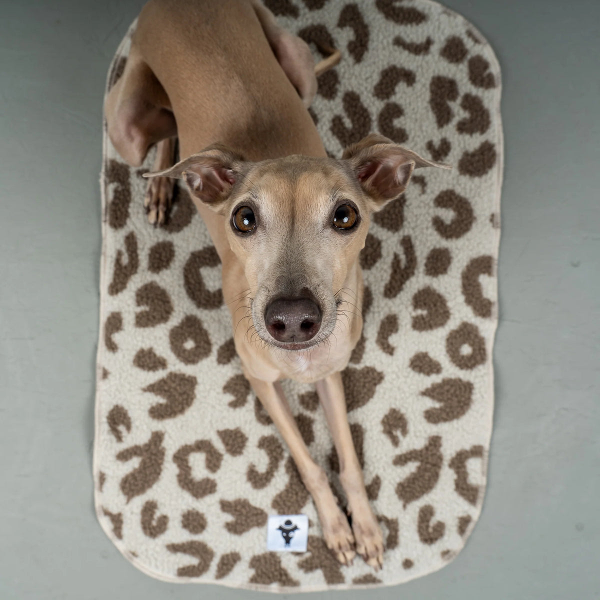 Karma-Hund-Platzdecke-Hundedecke-Light-Leo-Iggy