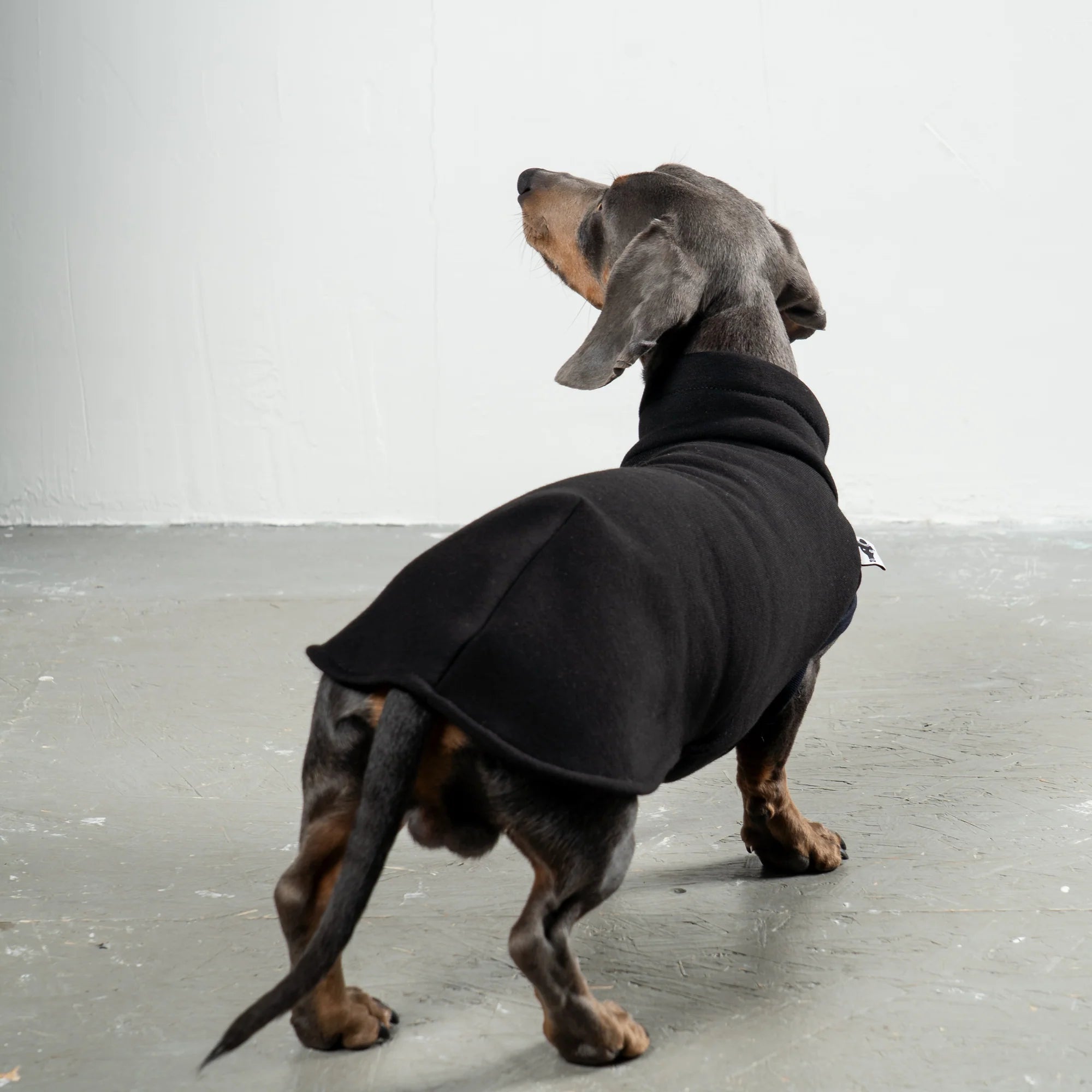 Karma-Hund-Sweatshirt-Dackel-Schwarz-3