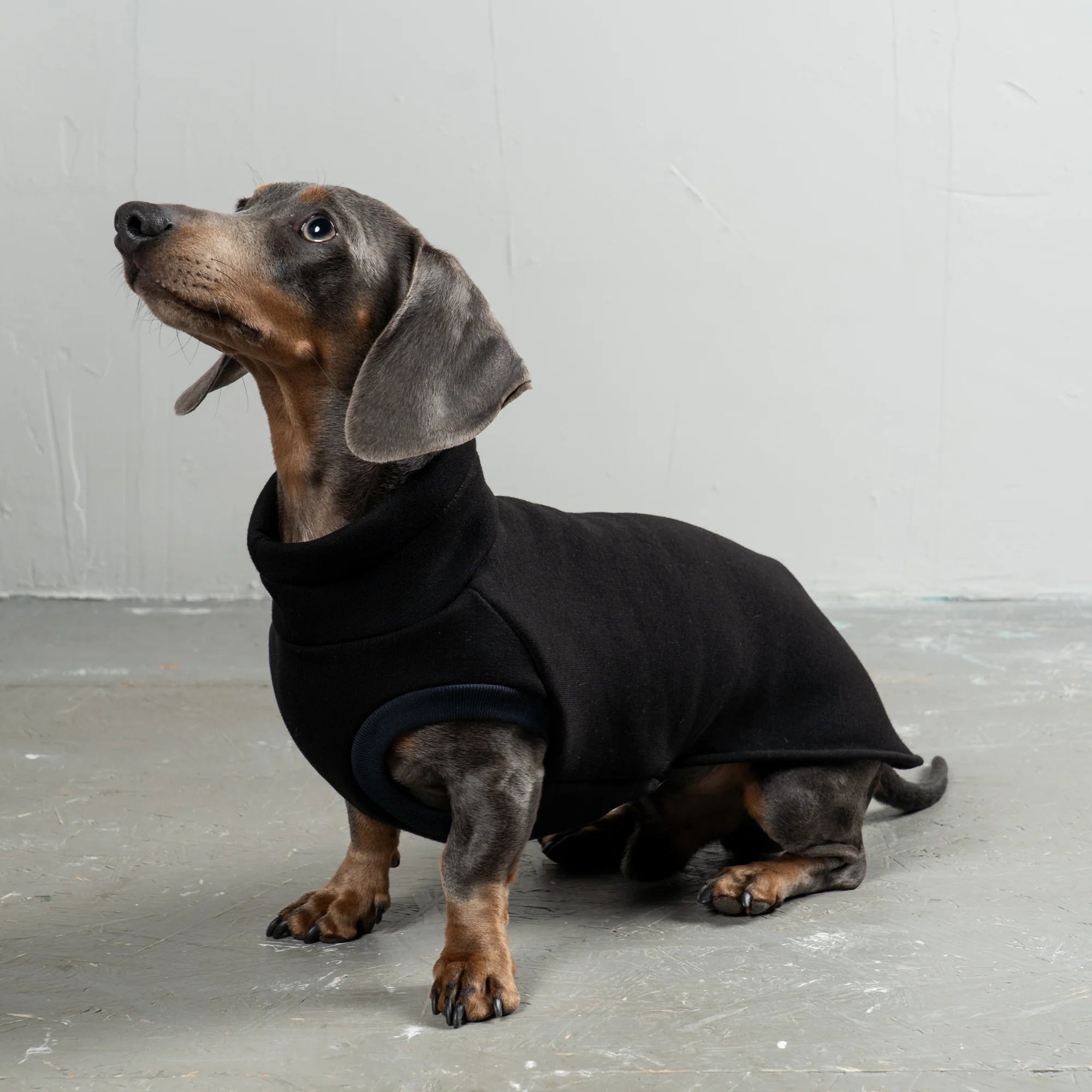 Karma-Hund-Sweatshirt-Dackel-Schwarz-5