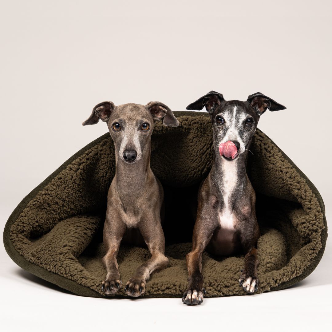 Karma-Hund-Woofstuff-Teddy-Kuschelschlafsack-Olive-Hund