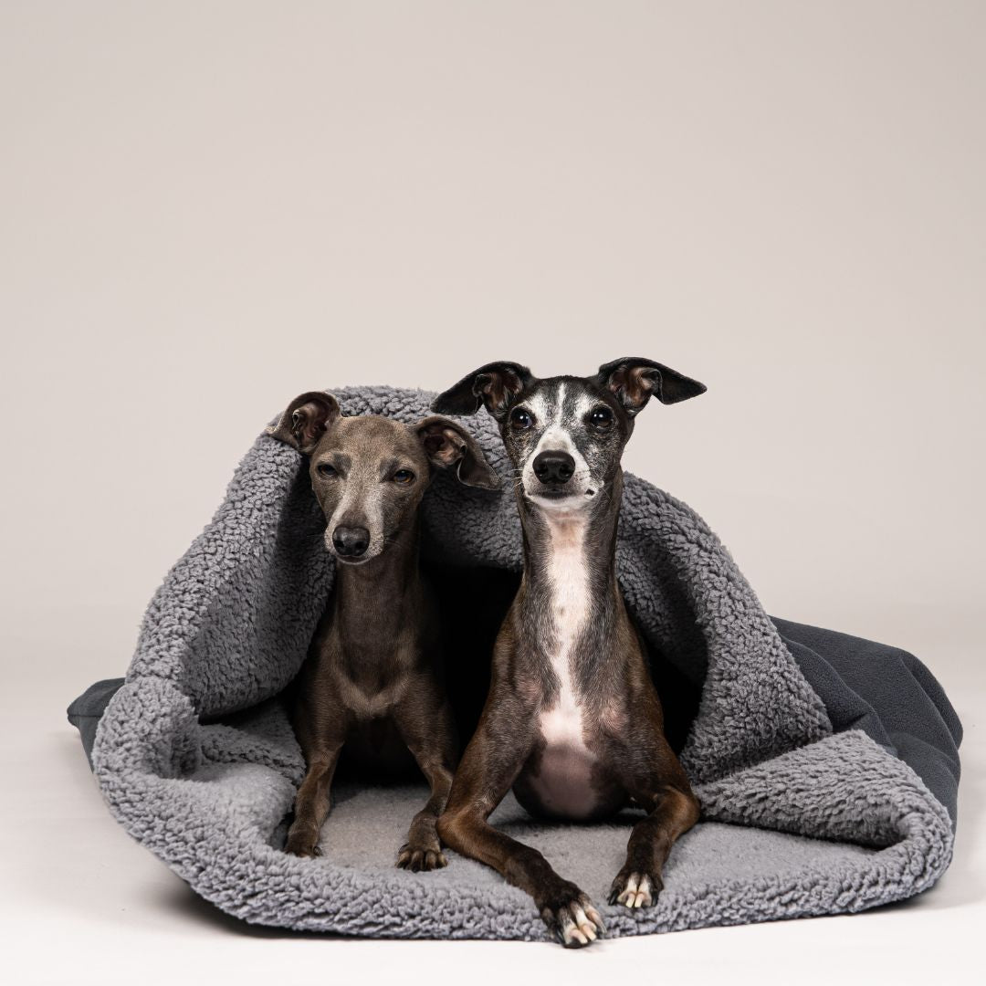 Karma-Hund-Woofstuff-Teddy-Kuschelschlafsack-Stone-Grey-Hund