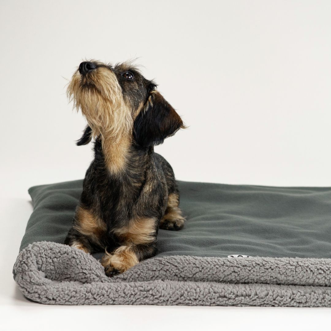 Karma-Hund-Woofstuff-Teddy-Kuschelschlafsack-Stone-Grey-Hund5