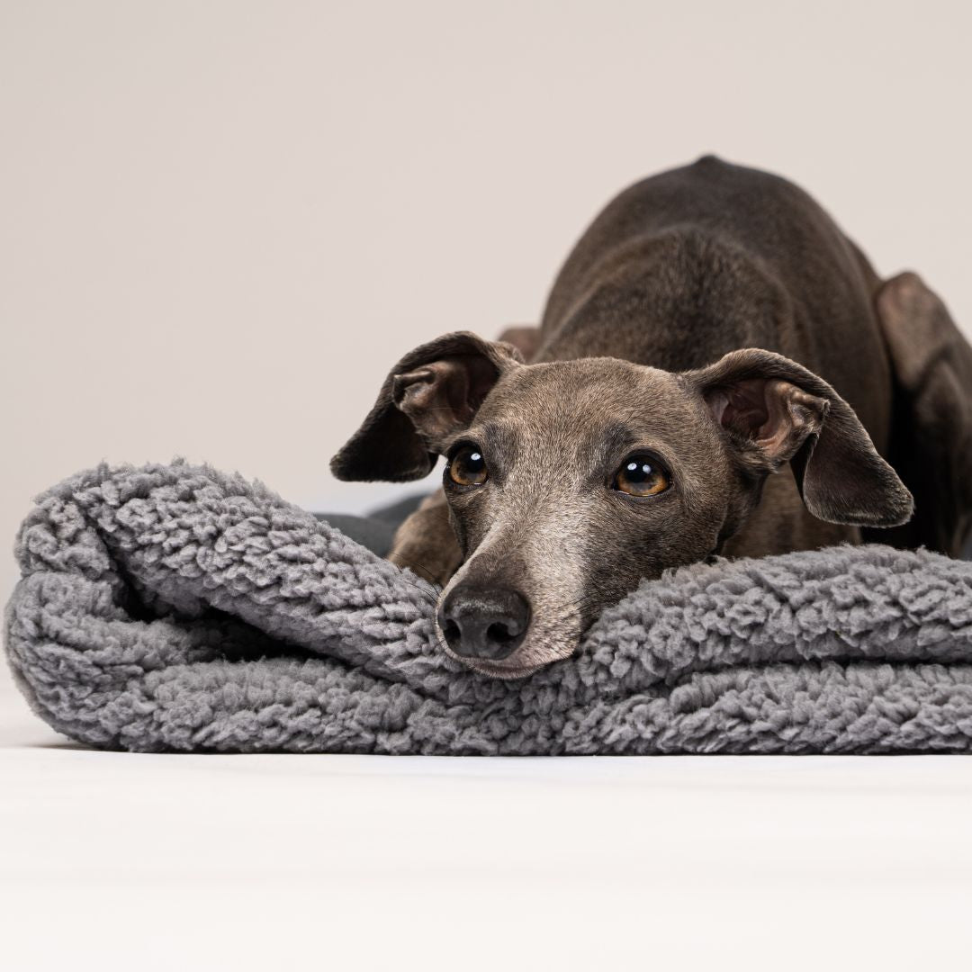 Karma-Hund-Woofstuff-Teddy-Kuschelschlafsack-Stone-Grey-Hund6