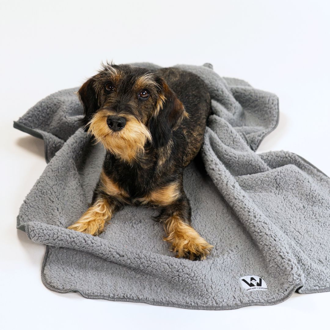 Karma-Hund-x-Woofstuff-Hundedecke-Double-Grey-Hund