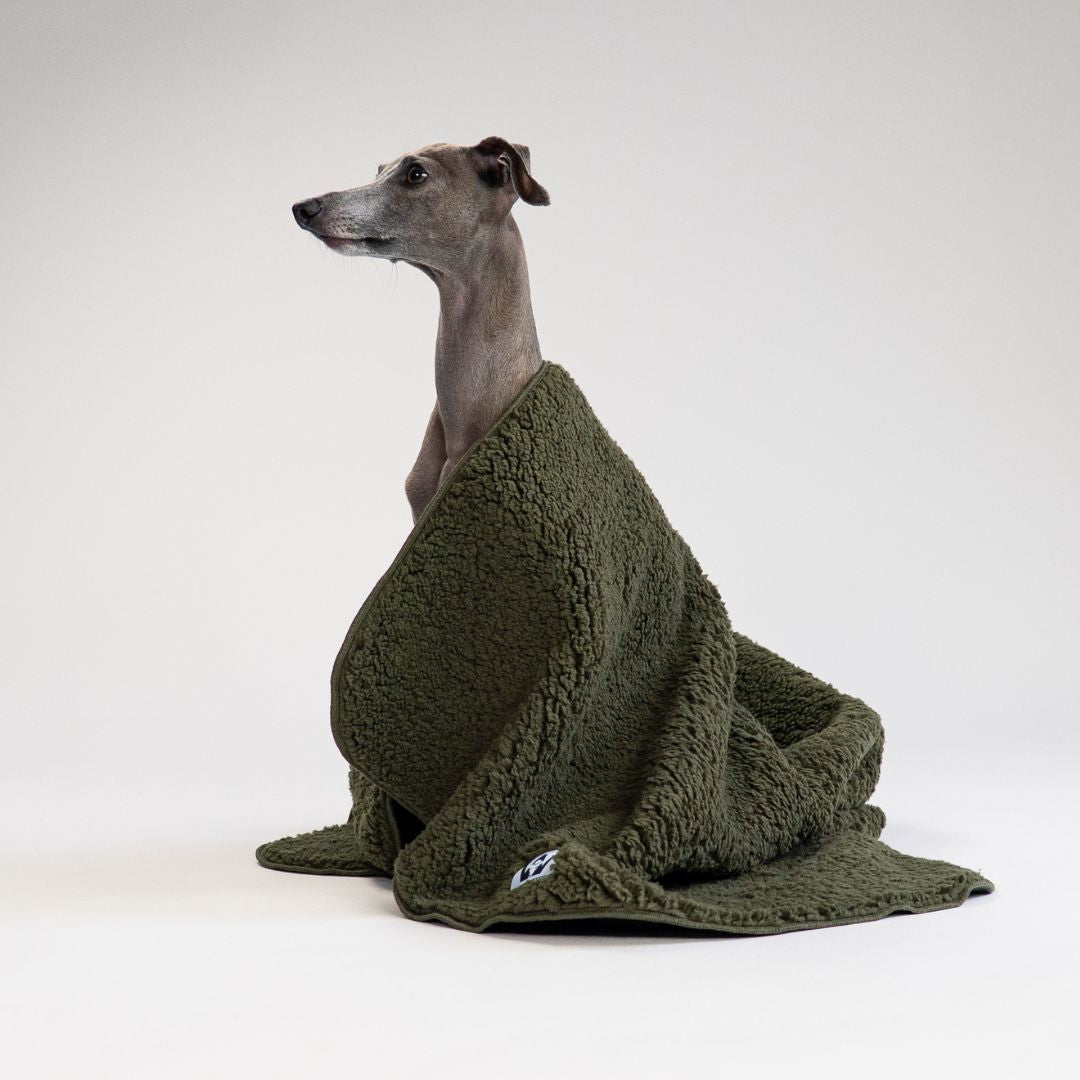 Karma-Hund-x-Woofstuff-Hundedecke-Double-Olive-Hund