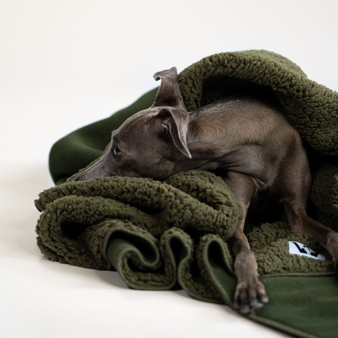 Karma-Hund-x-Woofstuff-Hundedecke-Double-Olive-Hund2