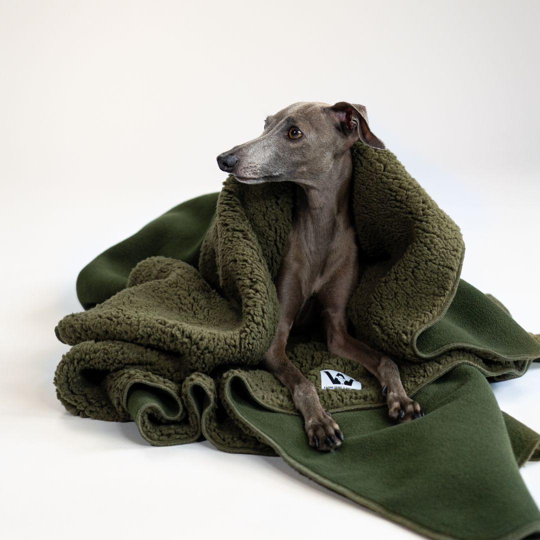 Karma-Hund-x-Woofstuff-Hundedecke-Double-Olive-Hund4