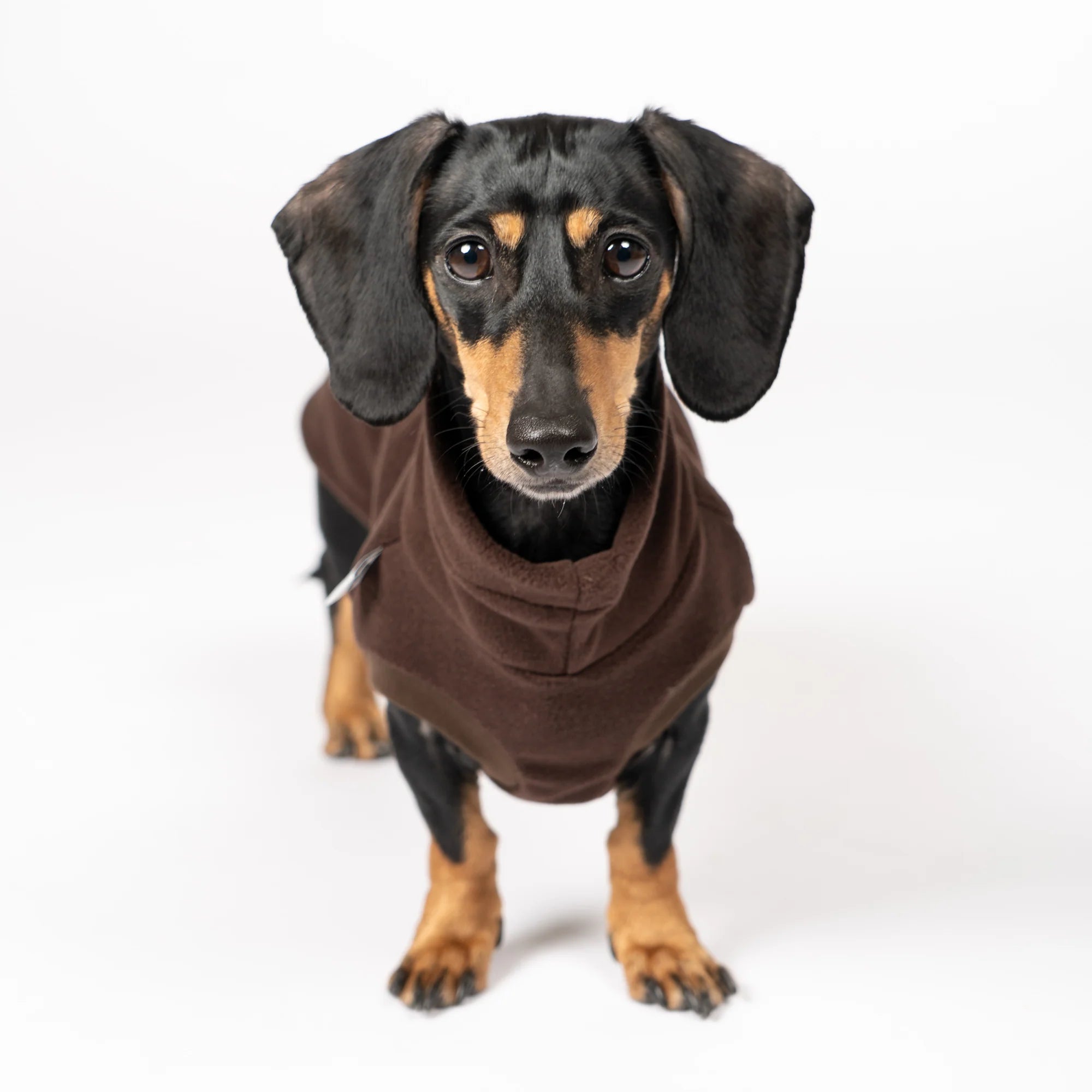 KarmaHund-Fleece-Shirt-Dackel-Espresso-2