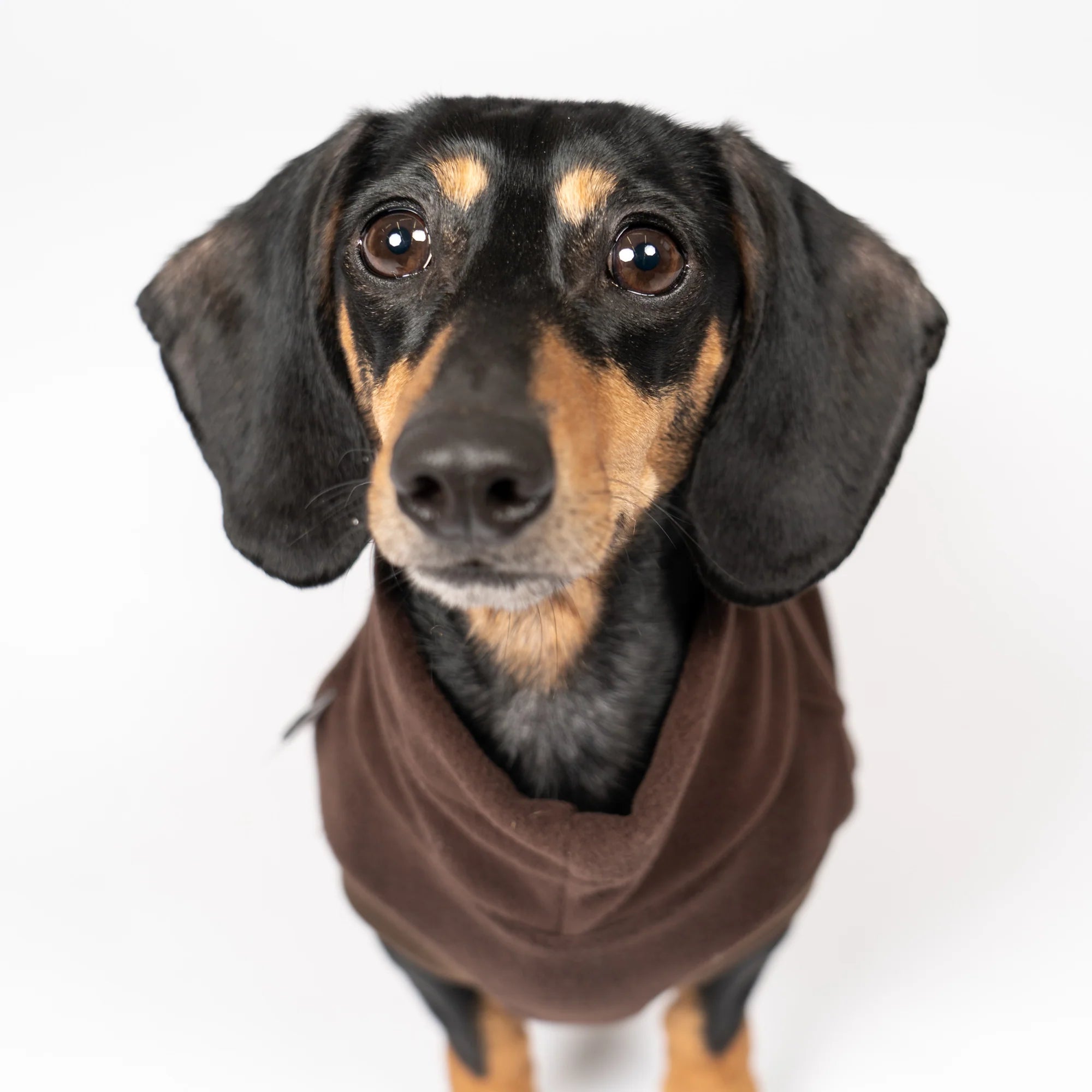 KarmaHund-Fleece-Shirt-Dackel-Espresso-4