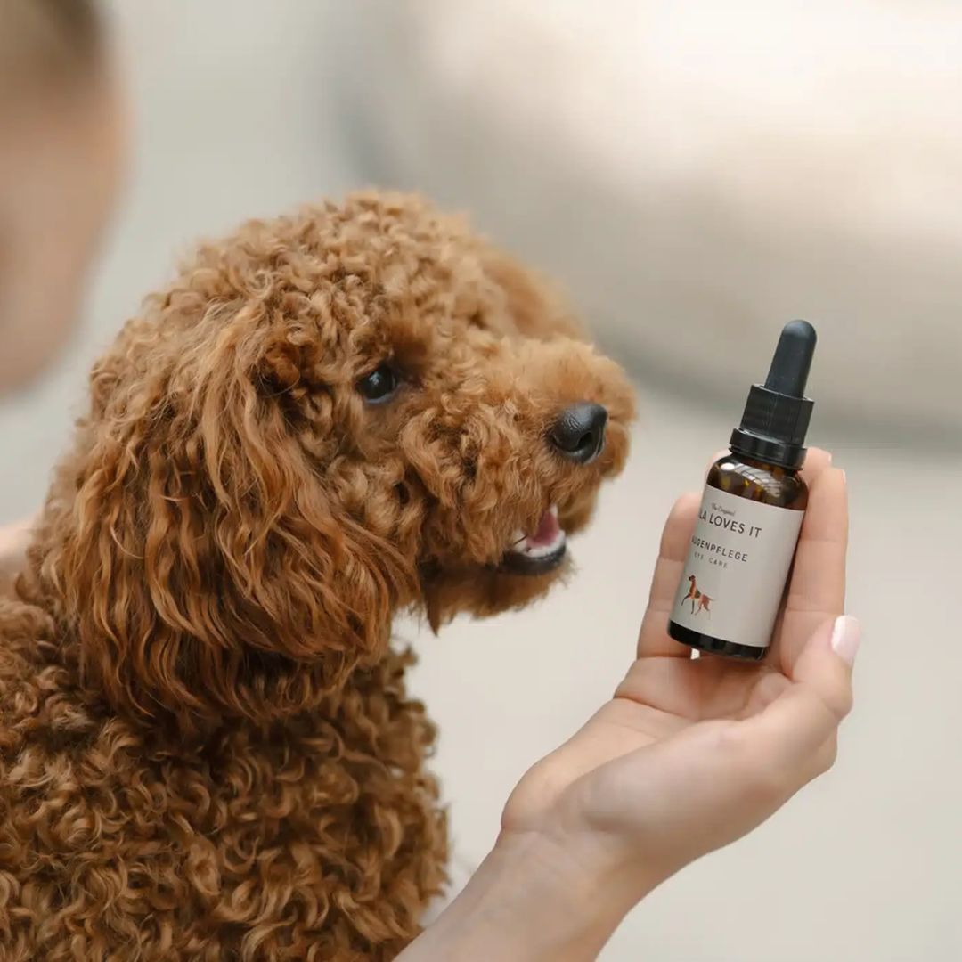 LILA-LOVES-IT-Augenpflege-Mood