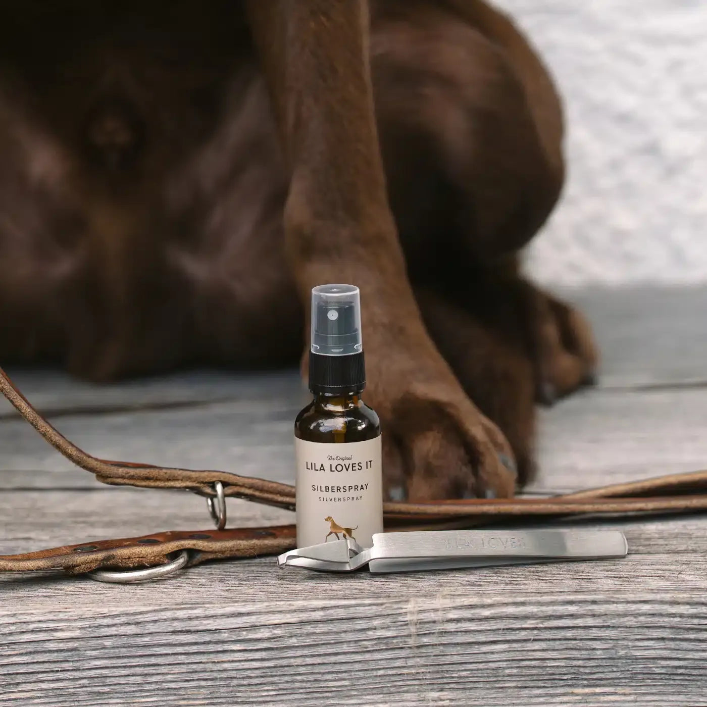 LILA-LOVES-IT-Silberspray-Mood