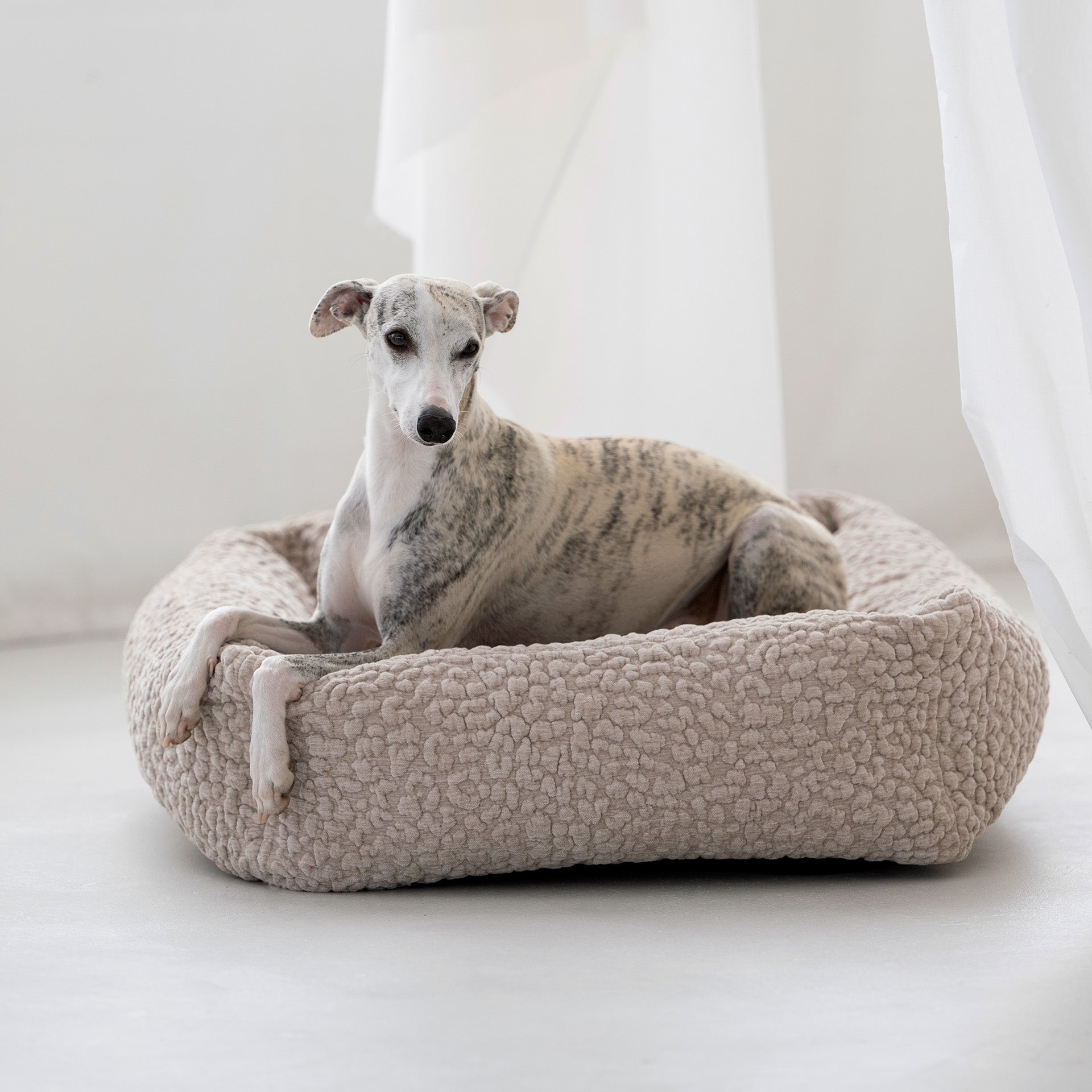 Laboni-Hundebett-Bellagio-Mood-2