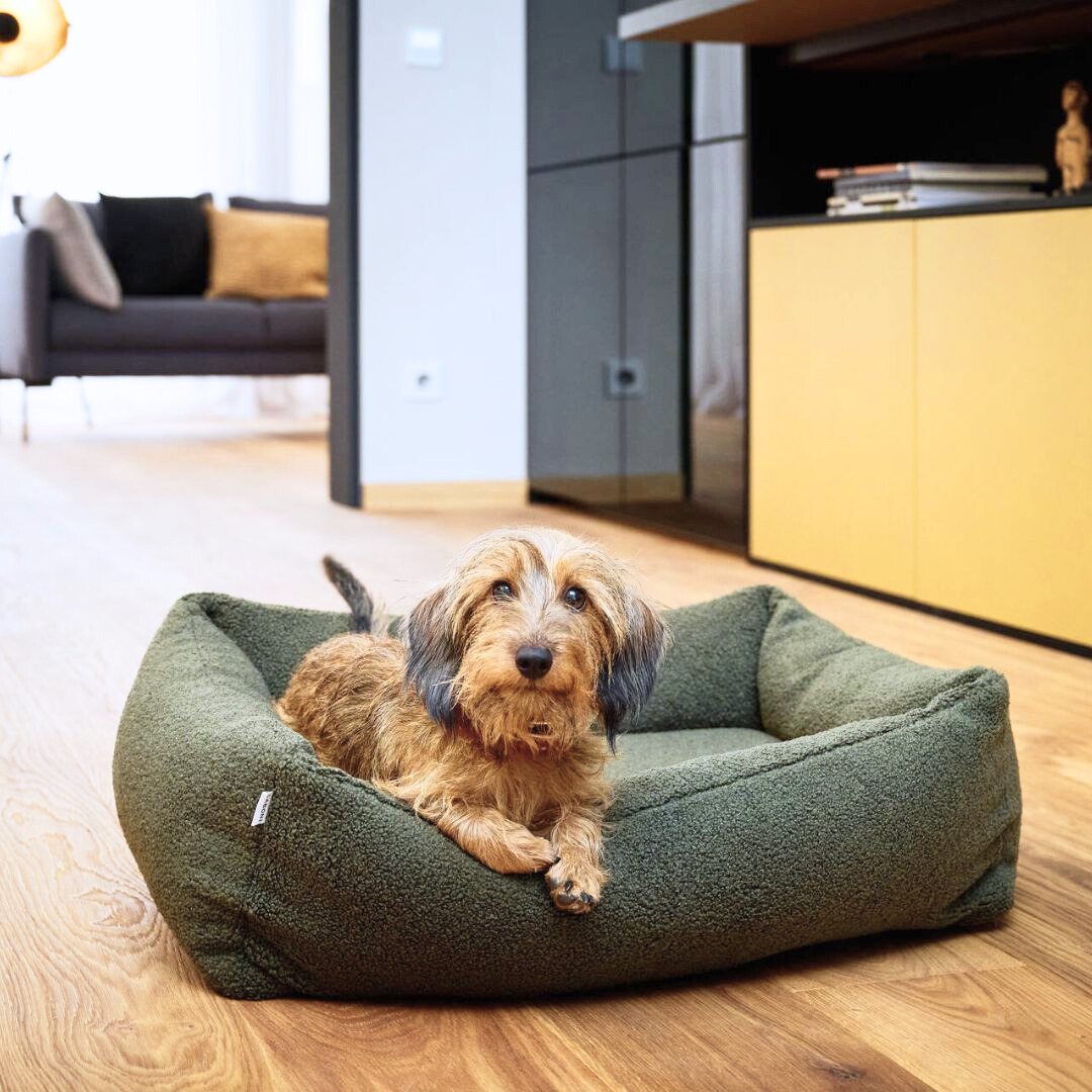 Laboni-Hundebett-Teddy-Boucle-Green-Hund2